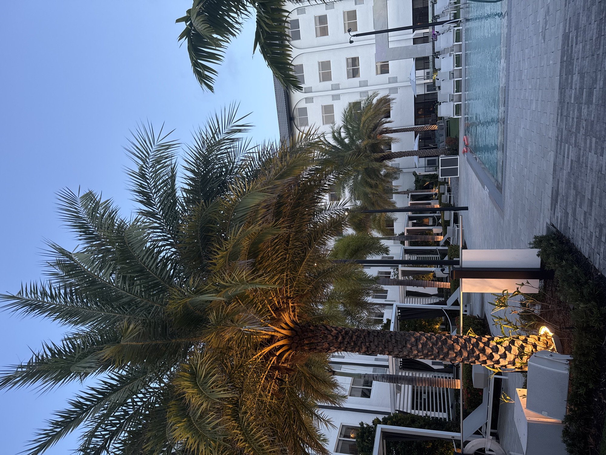The image captures an outdoor scene in what appears to be a courtyard of a building, likely a hotel or resort in Boca Raton, Florida, United States. Several palm trees are featured prominently, with one large palm tree in the foreground that is illuminated from below. Behind the palm trees is a multi-story white building with multiple windows. To the right is a swimming pool lined with lounge chairs. The courtyard is paved with gray bricks. The sky is a muted blue, suggesting it is dusk or early evening. The scene appears tranquil and well-maintained.