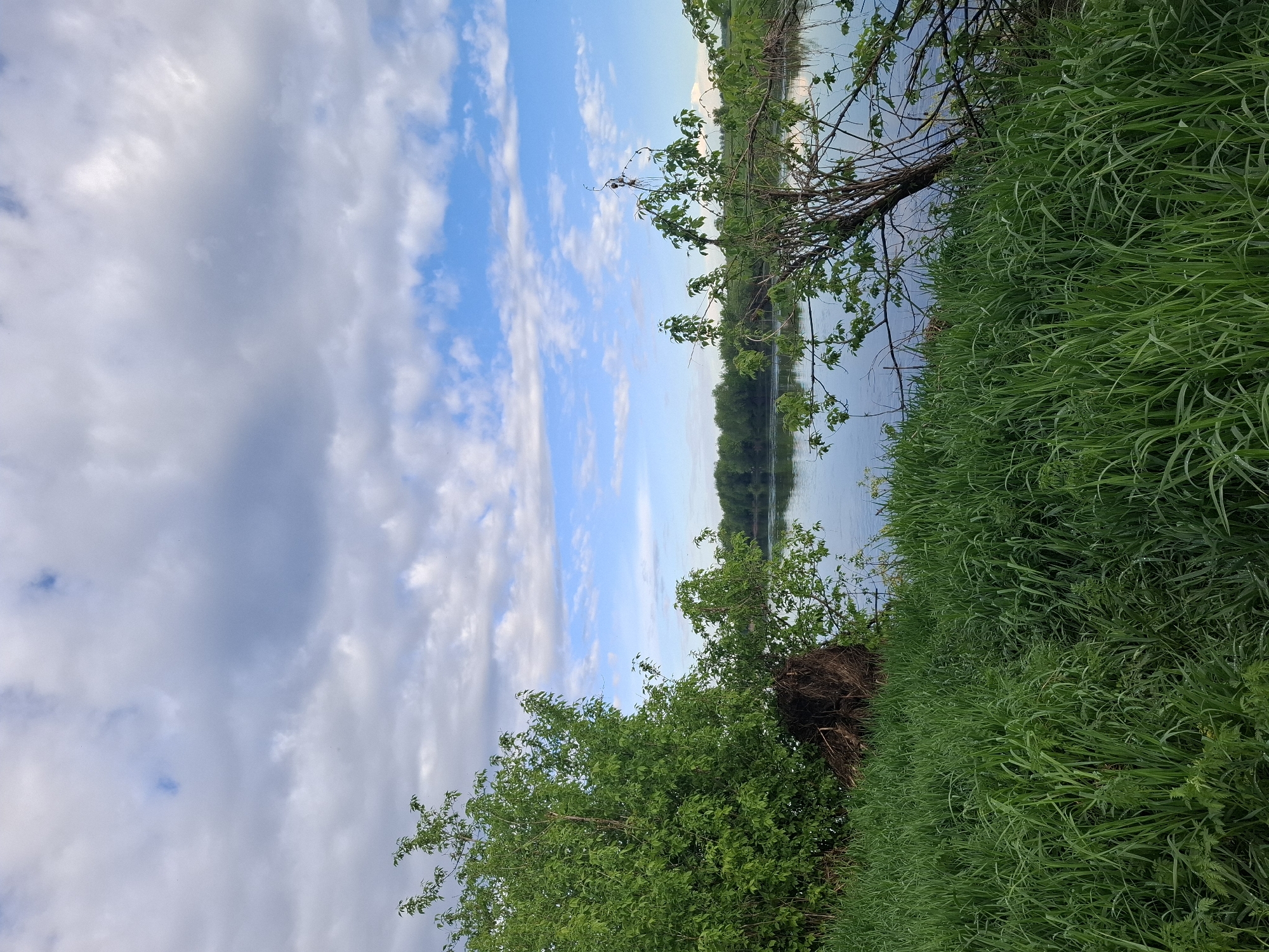 The image depicts a landscape scene in Дерезовка, Russia. The sky occupies a significant portion of the upper frame, with scattered clouds and patches of blue. A body of water, likely a river or lake, is visible in the center, with a line of trees or vegetation on the opposite bank. The foreground is dominated by lush green vegetation, including tall grass and shrubs. A fallen tree with exposed roots is situated along the bank. The scene suggests a natural environment, possibly a park or rural area within or near Дерезовка. There are no people visible in the image.