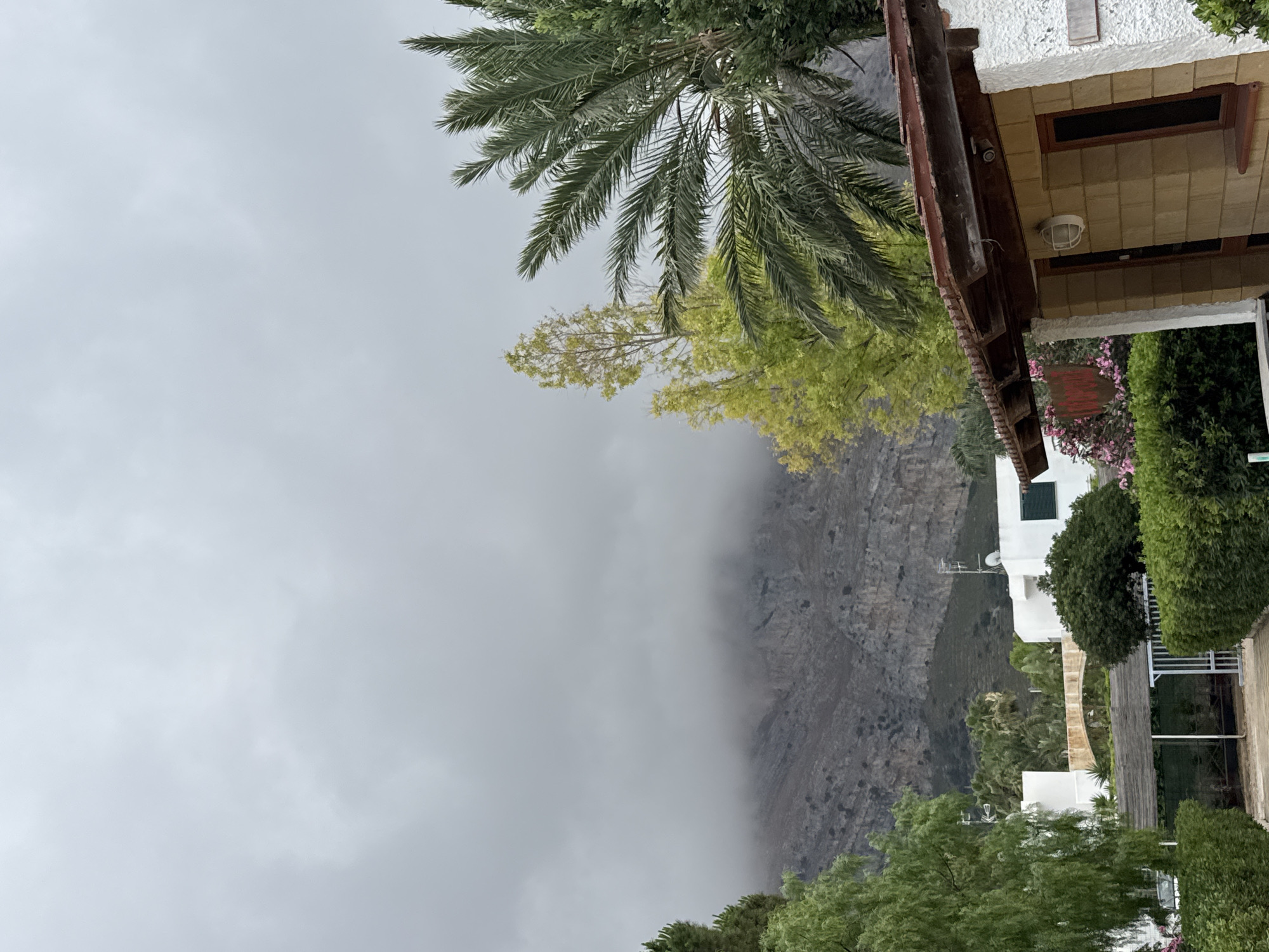 The image captures a cloudy day with a view of a mountainous landscape partially obscured by fog. In the foreground, there is a small building with a tiled roof and white plastered walls, constructed with tan bricks. A palm tree with vibrant green fronds is prominently featured on the right side of the frame, obscuring part of the sky. To the left of the building, there are dense green bushes and trees, as well as a smaller building with a wooden roof structure. In the background, white buildings with green shutters are visible amongst lush vegetation, and the rocky face of a mountain rises behind them. The overall impression is one of a somewhat overcast day in a location that appears to be a residential or resort area, possibly in Isola delle Femmine, Italy, given the Mediterranean vegetation and building style. There are no people or animals visible in the scene.