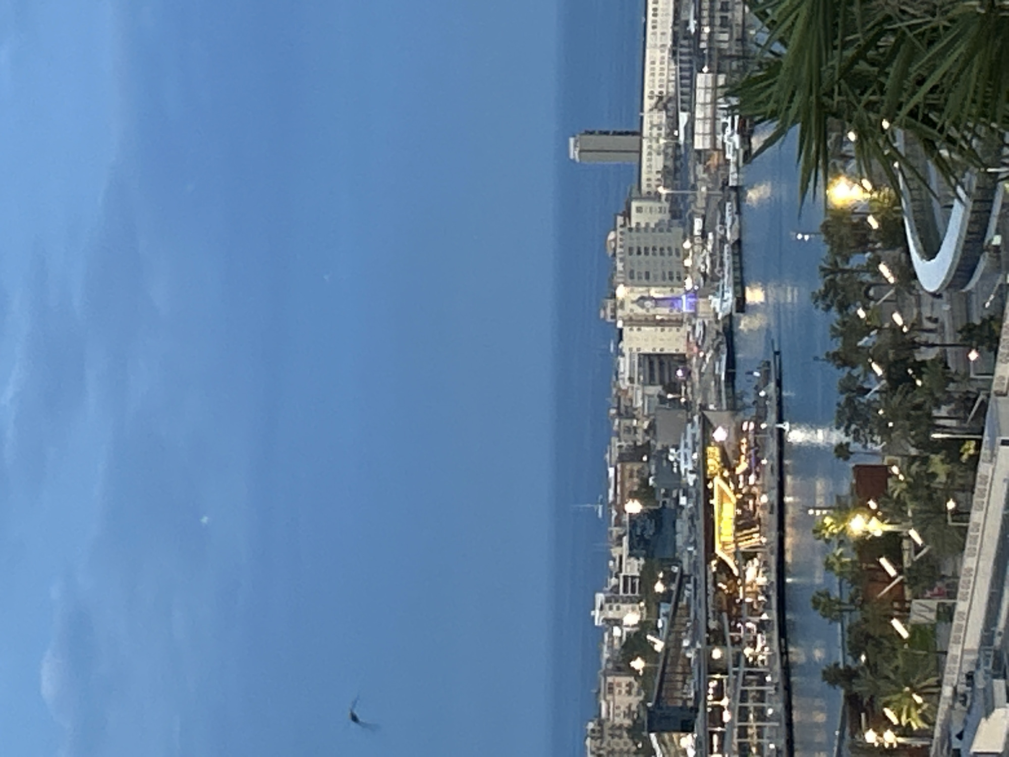 This media file presents an elevated, panoramic view of a coastal city and its waterfront during twilight hours. The vast expanse of the sky, a deep blue, dominates the left half of the image, gradually meeting a calmer body of water—likely the sea or a wide river—on the right side at the horizon line.
The cityscape densely populates the area along the water's edge, characterized by numerous buildings of varying heights and architectural styles. A distinct tall, slender building stands out among the structures. As it is dusk or dawn, many artificial lights are visible, illuminating the buildings and casting a warm glow along the waterfront.
A canal or marina runs parallel to the city, populated with several boats. The reflective surface of the water mirrors the lights from the shore, which appear to come from businesses, streetlights, or a promenade. Palm trees and other greenery are interspersed along the waterfront, particularly on the right side, suggesting landscaped areas.
The vantage point appears to be from a high floor of a building or an elevated platform, as evidenced by partial views of a structure, railing, and foliage (palm fronds) in the immediate foreground on the far right. In the sky, a blurry, dark, winged object (possibly a bird or insect) is discernible, along with a small, faint white dot.
The overall mood is peaceful and atmospheric, with the artificial lights providing a contrast to the fading natural light. The scene is consistent with a coastal urban environment like Barcelona, Spain. There is no visible text in the image.