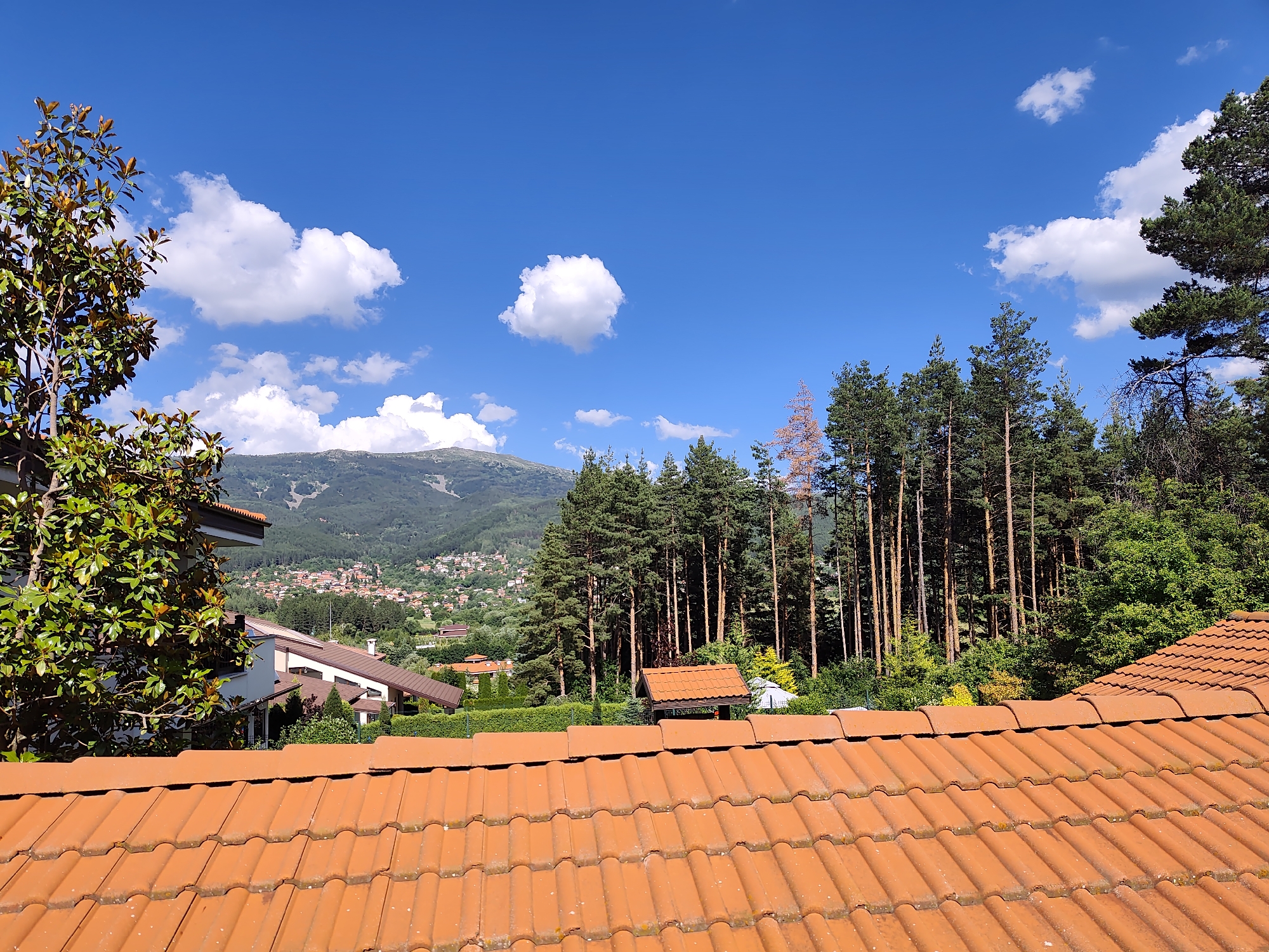 The image captures a view from a tiled rooftop overlooking a scenic landscape. In the foreground, a terracotta tiled roof dominates, with its textured, orange tiles catching the sunlight. Beyond the roof, a verdant green tree with large, glossy leaves is prominent on the left side. Further into the midground, several houses with brown tiled roofs are nestled amongst lush green foliage. A dense line of tall pine trees stands out against the backdrop of rolling hills. In the distance, a mountain range with patches of green vegetation and some ski slopes is visible under a clear blue sky dotted with white, fluffy clouds. A small village with red-tiled roofs is scattered across the hillside. The overall impression is one of a tranquil, residential area situated in a natural, mountainous environment, likely in Kladnitsa, Bulgaria, given the architectural style and vegetation. There are no people or animals visible in the image.