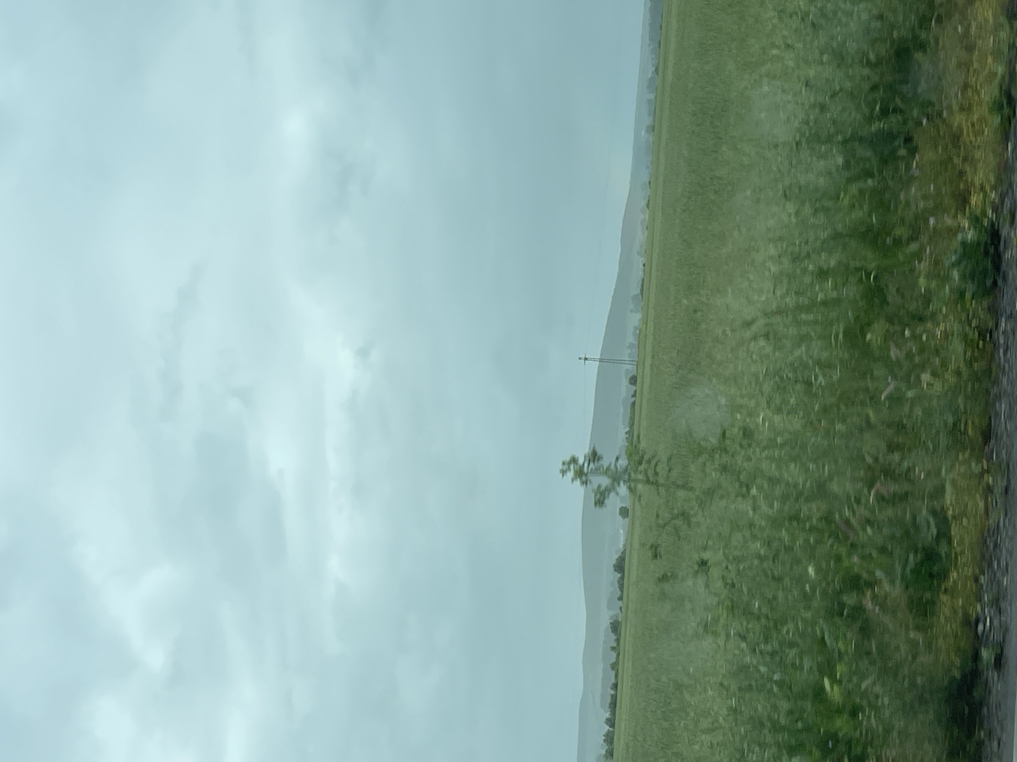 The image depicts a rural landscape under an overcast sky, likely in Krushare, Bulgaria. A field of tall green grass occupies the right side of the frame, bordered by a rough edge, possibly a road. In the distance, layered mountains fade into the hazy atmosphere. An electrical pole stands in the middle distance. A sparse tree is located near the middle ground. The sky is uniformly gray, suggesting rain or heavy cloud cover. No people or animals are visible.