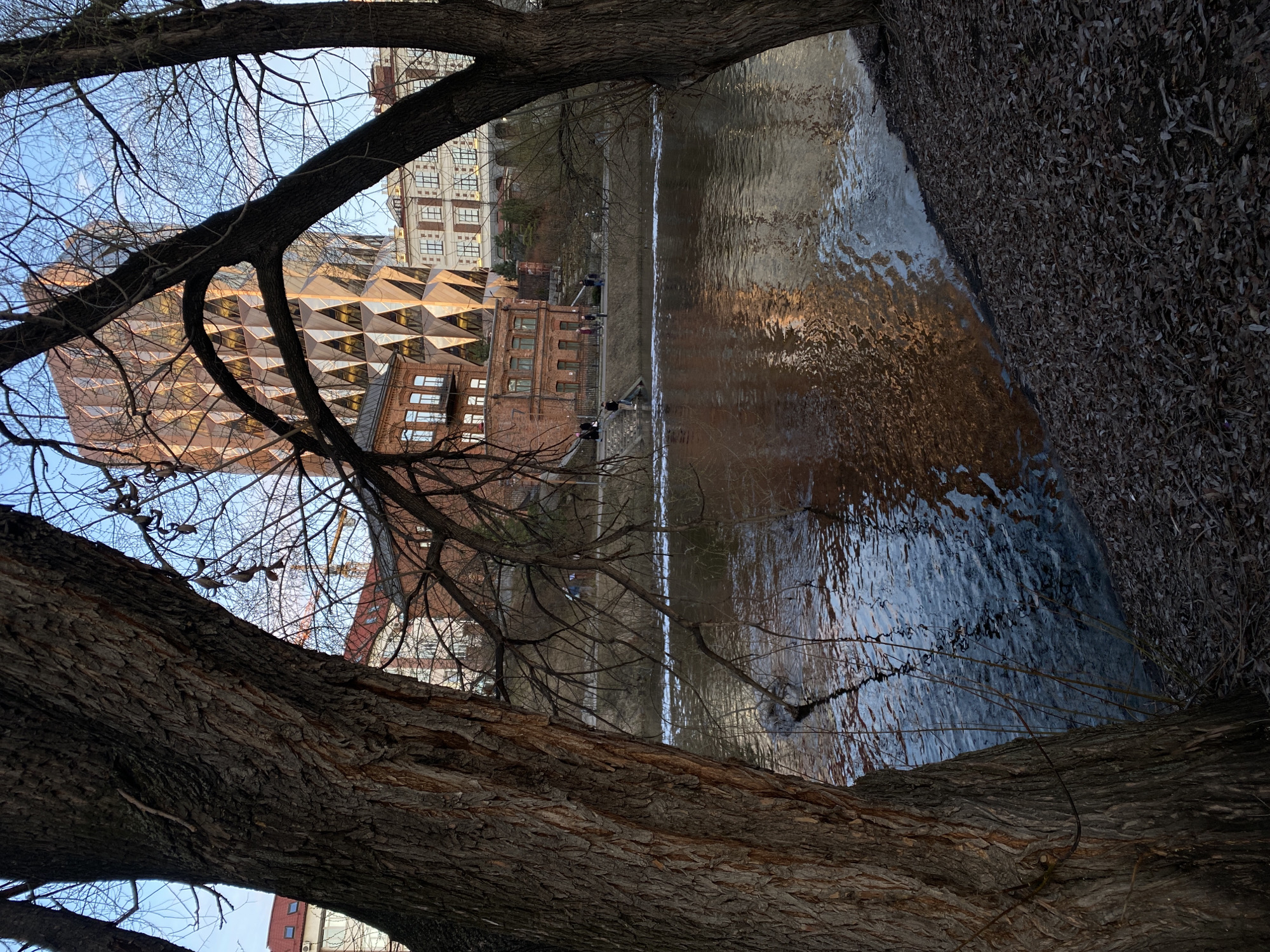 A landscape shot taken from a low vantage point through the branches of a large tree. The tree's thick trunk and bare branches dominate the foreground. In the midground is a canal or river, reflecting the surrounding architecture and sky. On the far bank of the water, several brick buildings are visible, including one with a unique geometric facade composed of triangular shapes, which is the Yekaterinburg City complex in Russia. A few people are walking on the canal or river's bank between the buildings and the water. The right side of the canal or river consists of brown dead leaves. The sky is visible in the upper left corner, appearing pale blue.