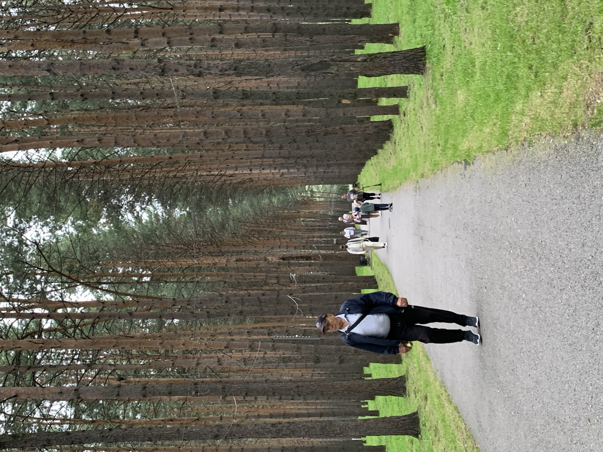 The image depicts a tree-lined pathway in Prokopyevsk, Russia, featuring several individuals walking. The pathway is paved with asphalt and bordered by a grassy verge. Tall, slender pine trees with brown trunks form dense rows on either side of the path, creating a tunnel-like effect. The sky is overcast, suggesting a cloudy day.
In the foreground, a man wearing a blue jacket, light-colored shirt, dark pants, a baseball cap, and black sneakers walks towards the viewer. He has a bag slung across his body. Further down the path, several other individuals are visible, walking in the same direction. These include a person in a white outfit, another in a light-colored top and pants, and a group of three people, one of whom is a child on a scooter. The overall scene is tranquil, with people engaged in leisurely walking.