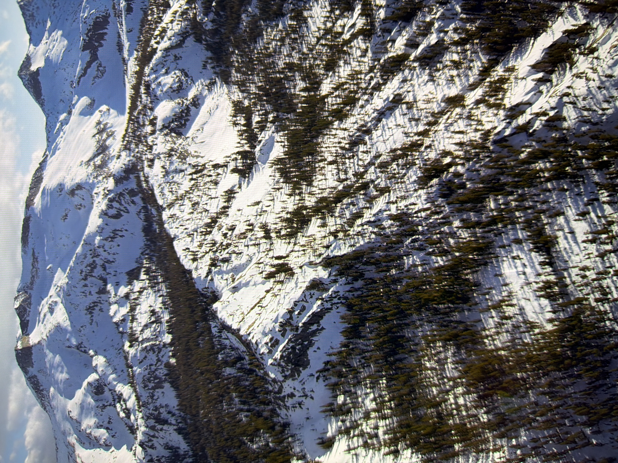 This is an aerial, wide-angle photograph of a snow-covered mountain range. The mountains are jagged and steep, with peaks reaching high into a blue sky dotted with white clouds. The slopes are covered in a thick blanket of snow, with dark shadows cast by the rugged terrain. Patches of dark green pine trees are scattered across the lower slopes, their branches heavy with snow. The scene suggests a remote, natural environment.
This image does not depict the city of Kyiv, Ukraine.