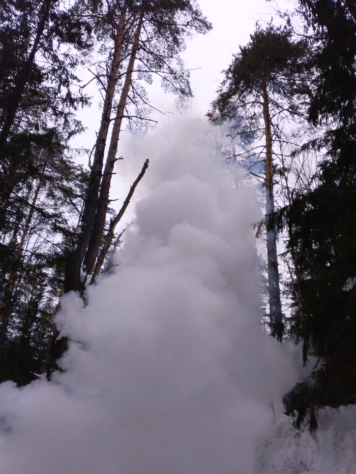 The scene depicts a large, vertical plume of dense, white-grey smoke rising from ground level within a snow-covered coniferous forest in Красный Маяк, Russia. Numerous tall, slender pine and spruce trees with dark trunks and branches frame the smoke on both sides and extend upwards towards an overcast, light grey sky. Some tree trunks exhibit snow accumulation, and areas of snow are visible on the ground at the image's lower right edge. No individuals or man-made objects are identifiable within the frame, and the source of the smoke is obscured by its volume. The overall impression is a winter forest environment with active smoke generation.