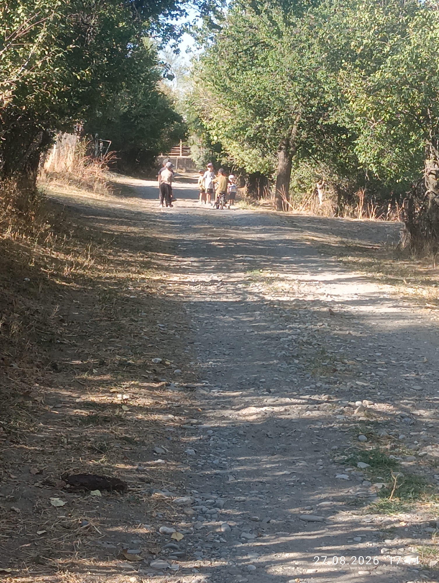 In Ak-Took, Kyrgyzstan, a dirt road lined with trees leads to a group of four individuals walking together. The group consists of one adult, who appears to be male, wearing a light-colored shirt and dark pants, and three children. The children, two boys and one girl, are dressed in casual clothing. One of the boys is riding a bicycle, while the other two children walk alongside. The scene is bathed in sunlight, casting dappled shadows on the road and the surrounding dry grass and foliage. The environment suggests a rural or semi-rural setting, with natural elements dominating the landscape. The date stamp on the image indicates that the photograph was taken on August 27, 2026, at 5:14 PM.