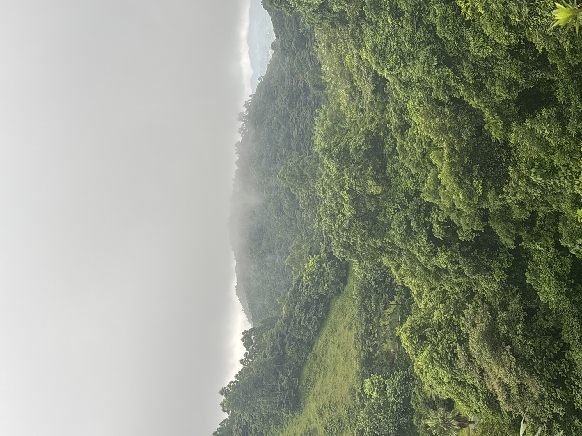 The image displays a lush, mountainous landscape shrouded in mist and clouds. Dense green foliage covers the rolling hills, with a variety of trees and vegetation visible. The overcast sky creates a muted, diffused light across the scene. In the distance, the peaks of further mountains can be seen through the haze, with hints of human settlement visible on the lower slopes. There are no people or animals present in the image. The scene evokes a sense of natural beauty and tranquility. The provided context of Guangzhou City, China, suggests this could be a view from a natural park or rural area on the outskirts of the city, possibly the Conghua District known for its mountainous terrain and natural reserves.