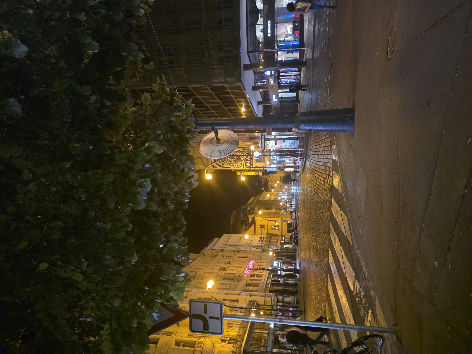 A nighttime street scene depicts a pedestrian area with illuminated buildings and streetlights in Unknown. The perspective is tilted vertically. On the left, a tree with dense foliage is visible. Street signs are mounted on a pole. The street is lined with buildings displaying signs such as "SPACES." The street's surface appears wet and reflective. A zebra crossing is marked on the road. A bicycle is parked in the foreground. Two individuals are walking on the right side of the street.
