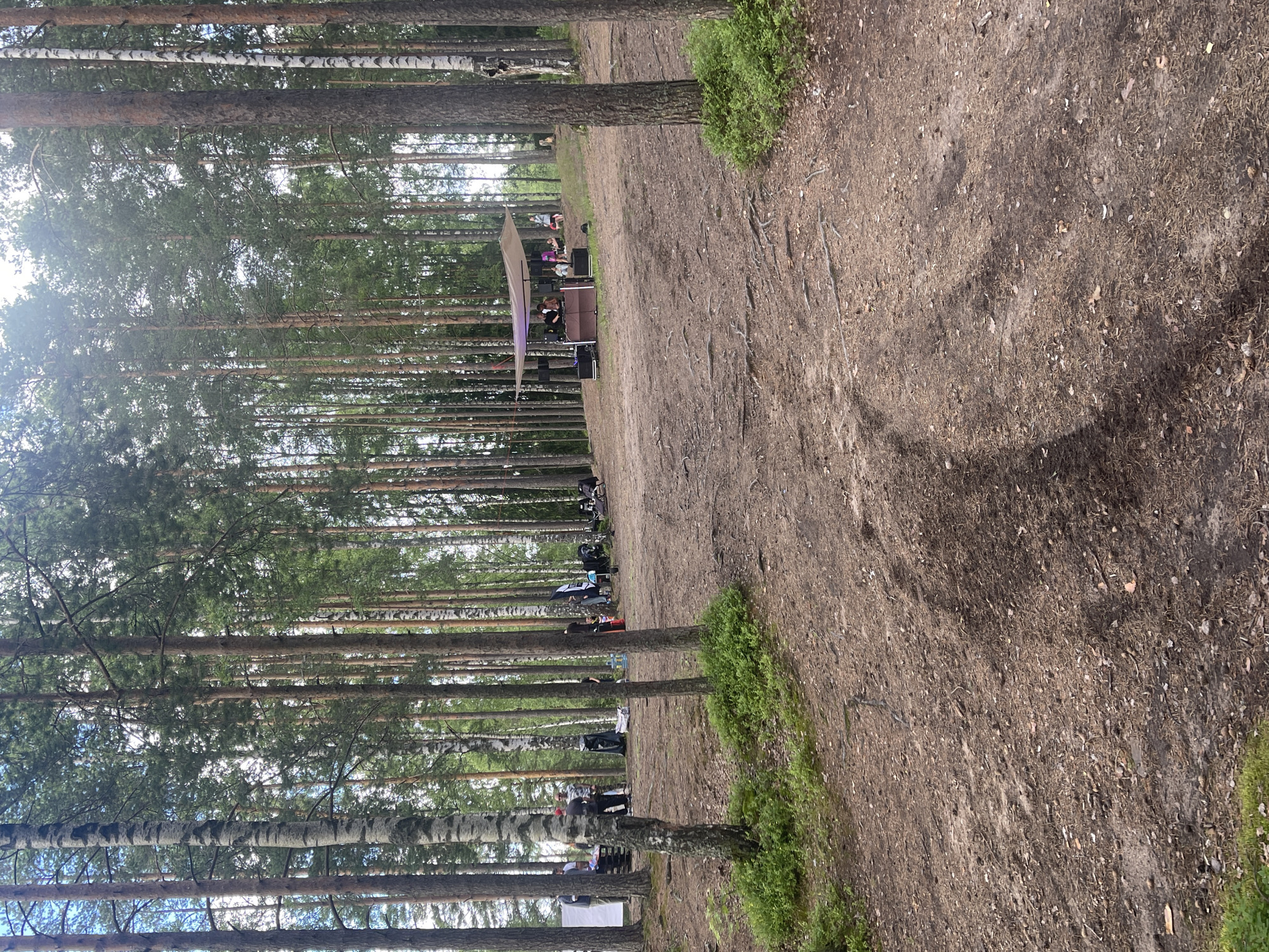 The image depicts a gathering of people in a forest clearing near a stage area. Several individuals are visible, some appearing to be setting up equipment or enjoying a leisurely moment. The scene includes a makeshift stage with speakers and a canopy, suggesting a small performance or event is underway or about to begin. The surrounding environment is characterized by tall, mature trees, primarily pines and birches, with a sandy or dirt path winding through the woods. Green foliage lines the edge of the path, indicating a natural, outdoor setting.
The lighting suggests it is daytime, with soft sunlight filtering through the trees, casting shadows on the ground. There are no explicit indicators of the weather, but the foliage appears healthy and vibrant, implying favorable conditions. The presence of a stage and people gathered implies a social event, possibly a concert, festival, or community gathering. The overall mood appears relaxed and casual, with individuals dressed in everyday clothing.
The location context provided is "Родник Днп, Russia," which suggests the gathering is taking place in a natural area likely associated with a dacha settlement or a recreational area in Russia. No visible text is present in the image that would provide further clues about the event or location. The image is oriented vertically, capturing a wide view of the wooded area and the activity within it.