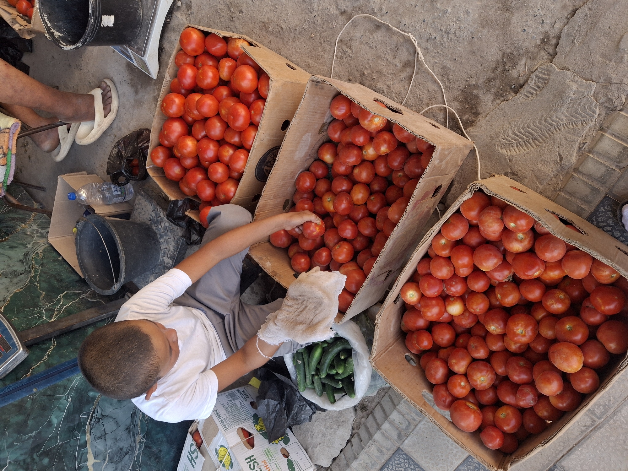 In Ko'kdala, Uzbekistan, a young boy wearing a white t-shirt and gray pants is sorting through produce at an outdoor market. He is crouched down next to several cardboard boxes filled with ripe red tomatoes. In front of him is a white plastic bag containing green cucumbers. His right hand, covered by a white gauze-like glove, reaches into the bag of cucumbers. To his left, another cardboard box is visible with a label that includes the word "FRESH" and an image of bananas. Behind the boy, a black bucket and a water bottle are on the ground. The market appears to be on a paved surface, with some cracked concrete and dirt visible. A black scale is positioned to the right of the scene, and in the background, a person's legs with white sandals are visible. The overall impression is a vendor at a local market preparing produce for sale.