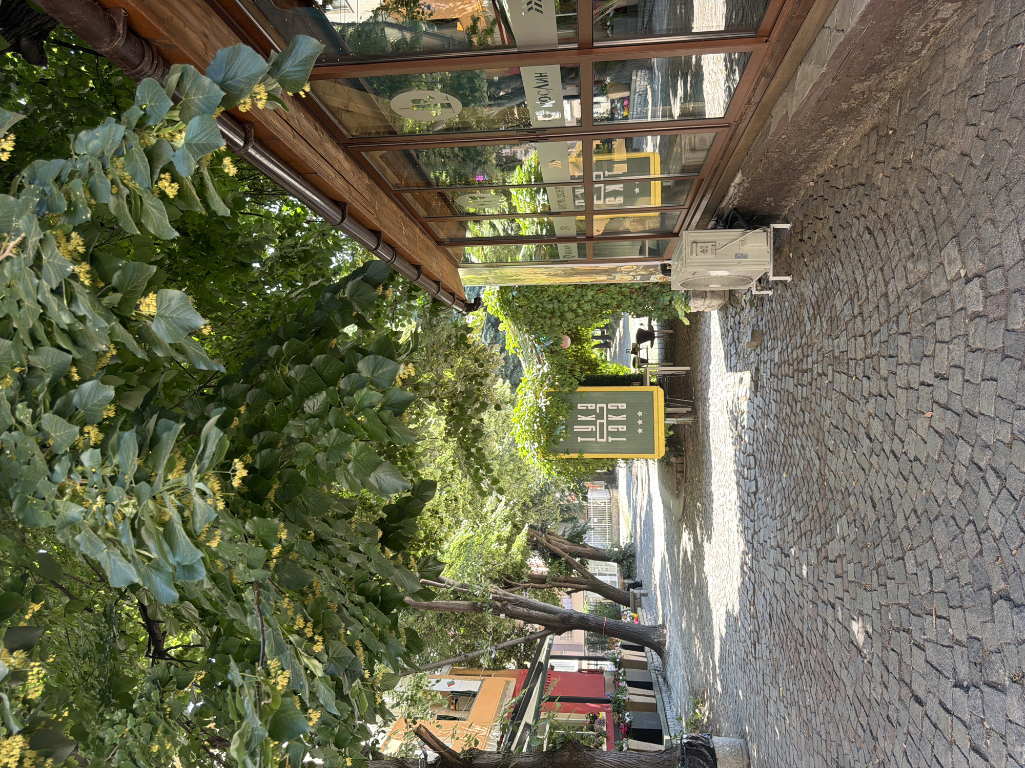 The image depicts an outdoor seating area of a restaurant or cafe, likely located in Pazardzhik, Bulgaria, given the signage. The ground is paved with cobblestones arranged in a circular pattern. On the right side of the image, a building with large wooden-framed windows and a brown wooden exterior is visible. These windows reflect the trees and sky. An outdoor air conditioning unit is placed on the cobblestone ground in front of the building.
To the left of the cobblestone path, there are several trees with lush green foliage and small yellow flowers. In the background, more trees and buildings are visible. A yellow sign with dark text and a decorative border is propped up on a stand, partially obscured by greenery. The sign appears to have the text "TUKE TAKA" or similar, with three stars below it. Further down the path, there are tables and chairs set up under a canopy of greenery.
The scene is illuminated by sunlight, creating shadows on the cobblestone ground, indicating a daytime setting. There are no people visible in the image. The overall atmosphere is one of a relaxed, shaded outdoor dining or gathering space.