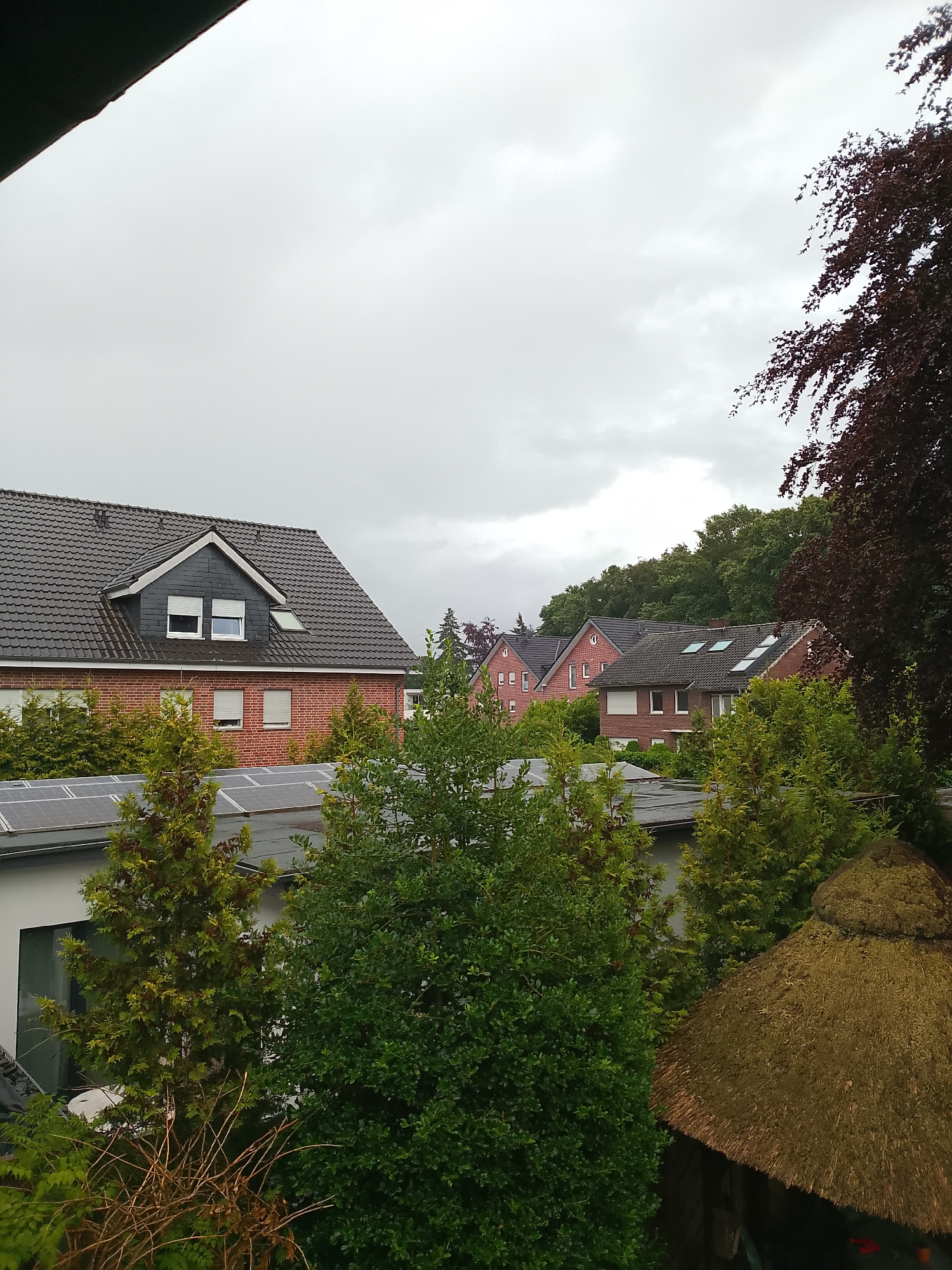 The image shows a residential area on an overcast day in Rheda-Wiedenbrück, Germany. In the foreground, there are various green trees and bushes, including some coniferous trees. To the right, a thatched roof structure, possibly a gazebo or garden shelter, is visible. Behind the trees and structure, several brick houses with dark tiled roofs are arranged in a row. Some of the houses have solar panels installed on their roofs. The sky is heavily clouded. No people are visible in the image.