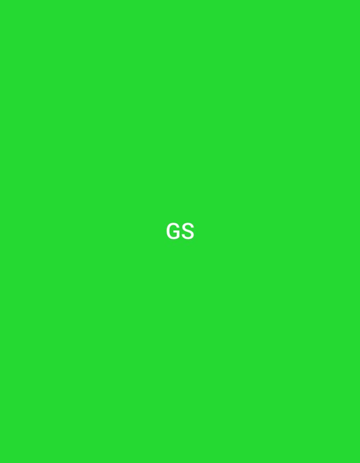 The image displays a uniform, vibrant green background. Centrally positioned, in white uppercase letters, are the initials "GS". The visual scene is entirely comprised of this digital graphic, lacking any discernible people, physical objects, actions, interactions, or environmental characteristics that would indicate a specific geographical location, including the city of Casablanca, Morocco.