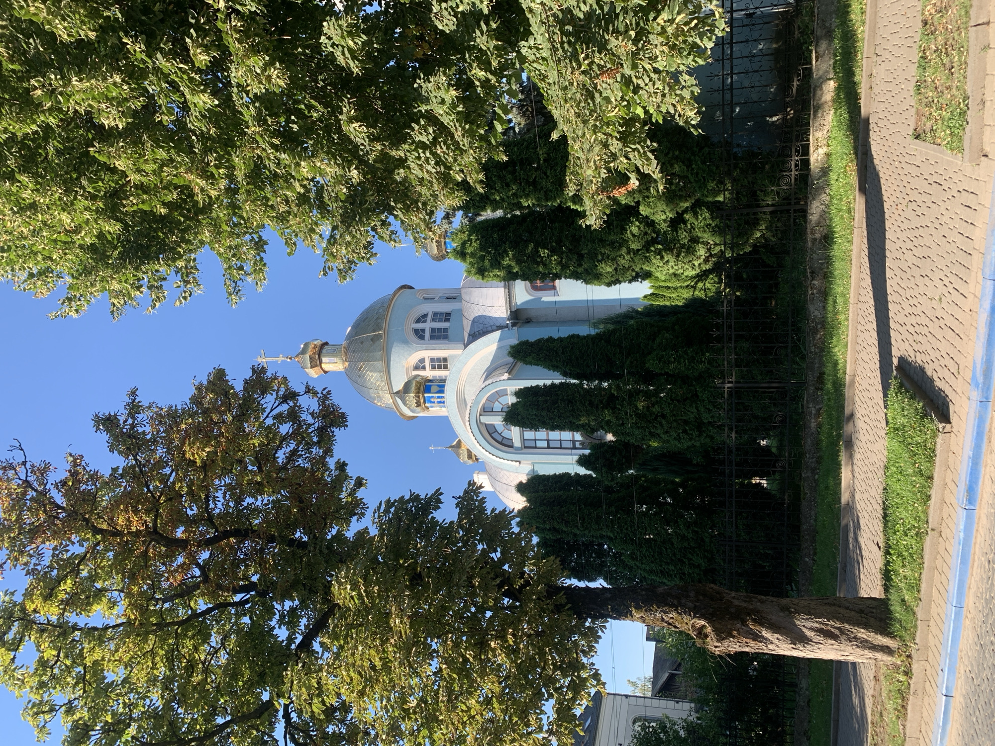 This is a photograph of the Church of the Transfiguration in Kolomyia, Ukraine, on a clear, sunny day. The church, painted a light blue with white trim, features a prominent golden dome and several smaller golden cupolas, topped with crosses. A large arched window with multiple panes is visible on the front of the building. Evergreen trees line the front of the church, partially obscuring it from view. In the foreground, a paved sidewalk with a blue border runs along a strip of green grass, with a mature tree to the left of the frame. A black metal fence runs along the perimeter of the church grounds, behind the evergreen trees. The sky is a vibrant, clear blue.