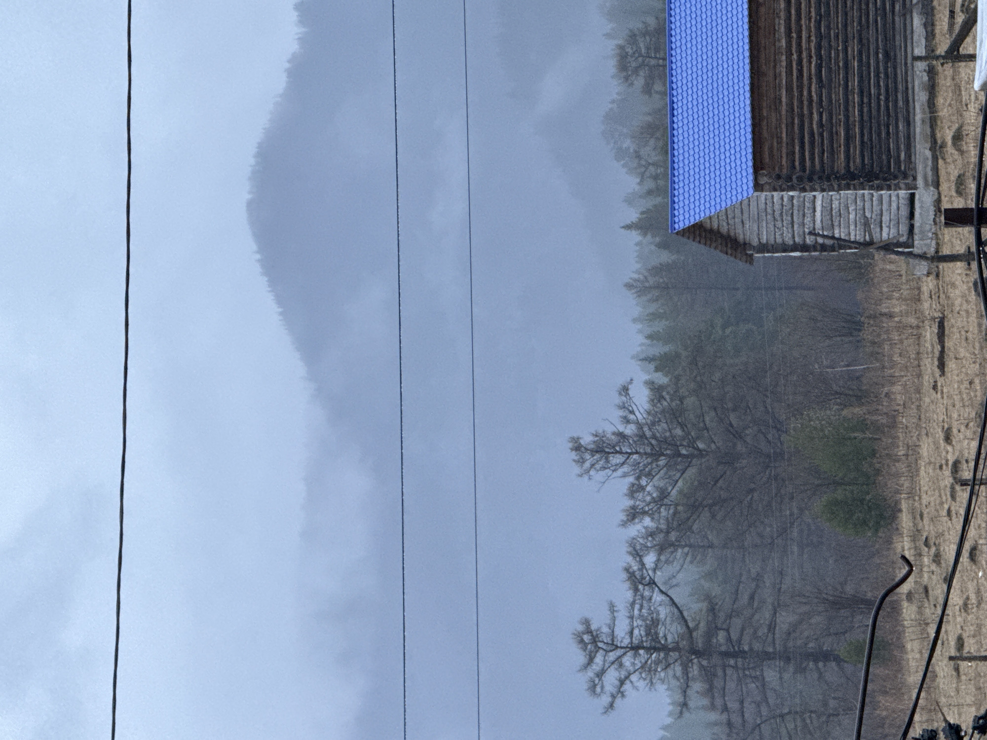 The image depicts a rural scene, possibly in or near Tyulyuk, Russia, as indicated by the presence of structures typical of that region.
The scene is characterized by a misty or foggy atmosphere, obscuring the distant mountain range. A small, wooden building with a distinctive blue corrugated metal roof is visible on the right side of the frame. The building appears to be a traditional log structure.
In the foreground, there are bare trees with intricate branching patterns, suggesting it is either late autumn or early spring. The ground cover consists of dry grass and vegetation.
Several power lines stretch across the image, intersecting the view of the landscape and the buildings. This suggests the presence of infrastructure in the area, though it is in a rural environment. There are no people directly visible in the frame.