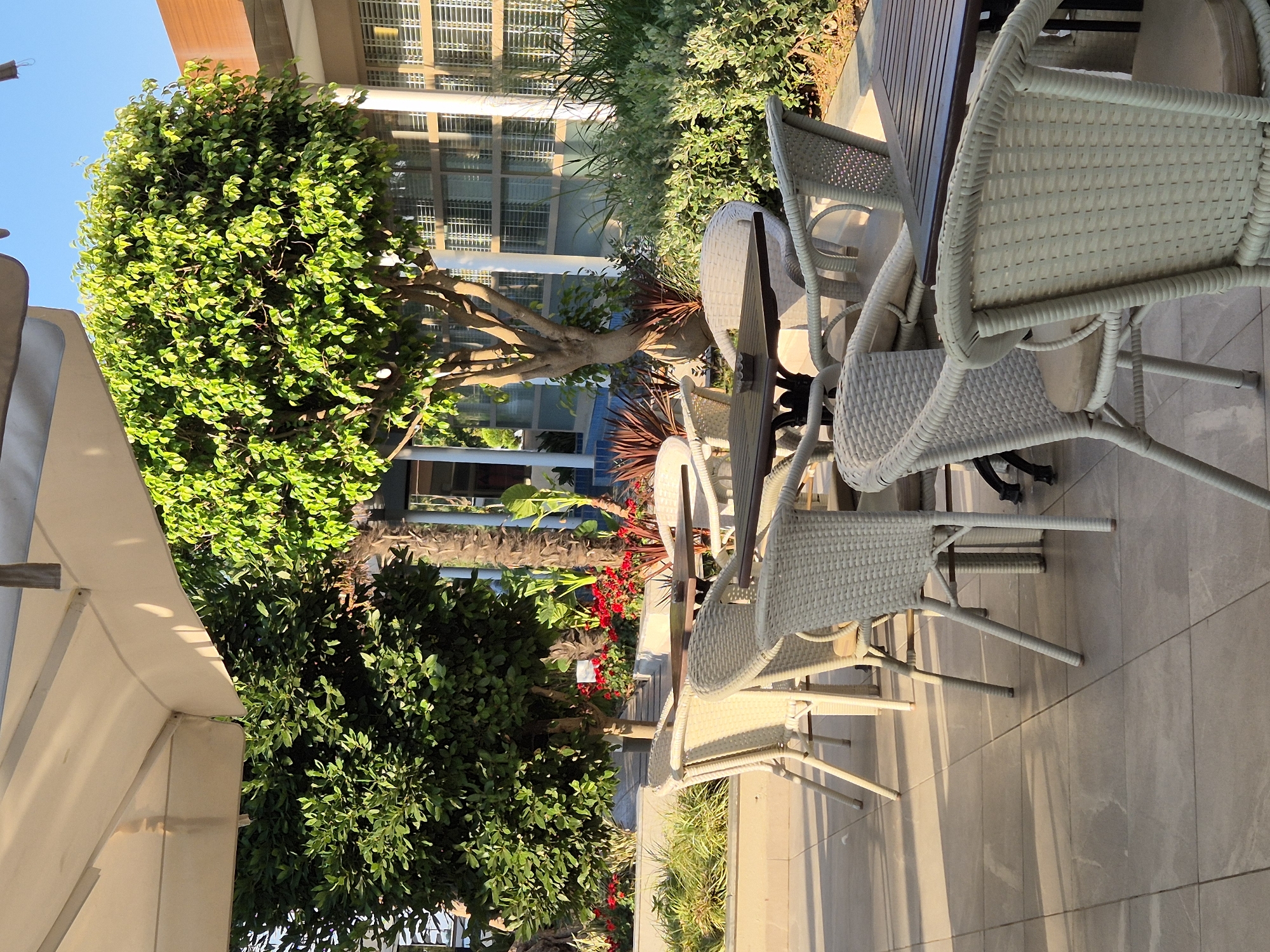 This is a medium shot of an outdoor seating area with wicker chairs and tables under a large umbrella. Two trees are visible, one with dark green foliage and another with lighter green leaves. Red flowers are planted in a raised bed behind the tables. The ground is paved with large square tiles, and the background shows a building with large windows. The lighting suggests it is late afternoon.