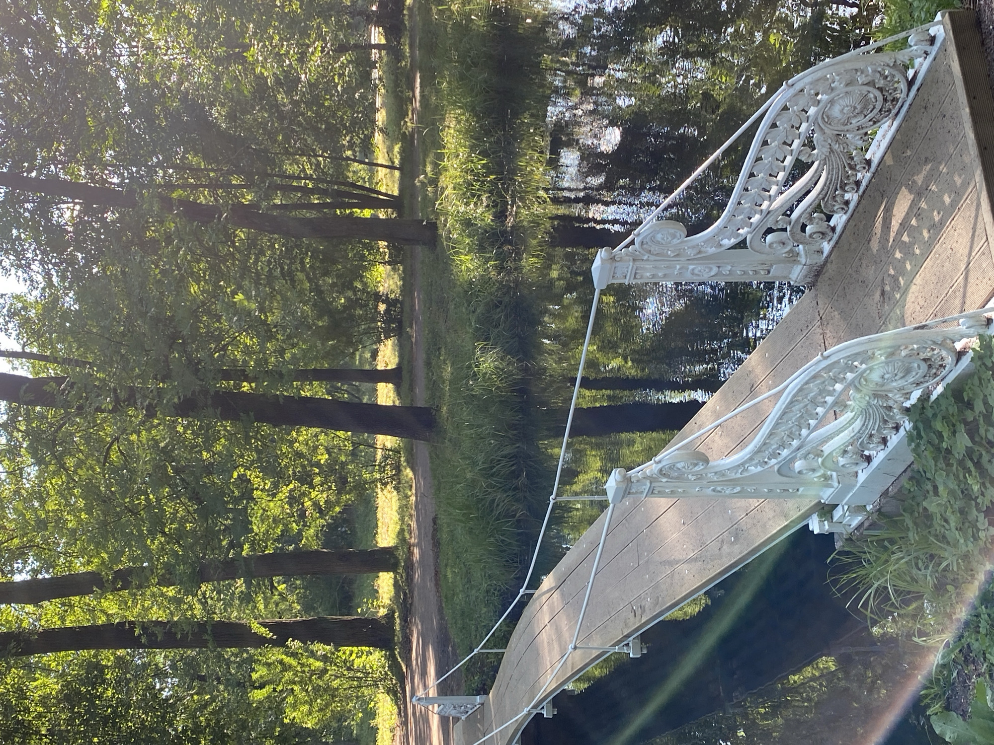 The image shows a narrow wooden footbridge with ornate white railings arching over a dark body of water. The bridge is positioned diagonally, leading from the foreground towards the background. Lush green trees and foliage surround the water, casting reflections on its surface. The scene appears to be a park or garden, with sunlight filtering through the leaves and creating dappled light on the bridge and the surrounding environment. The location is the Great Cascade in the Catherine Park in Pushkin, Russia, a notable landmark known for its cascades, bridges, and landscaped gardens.