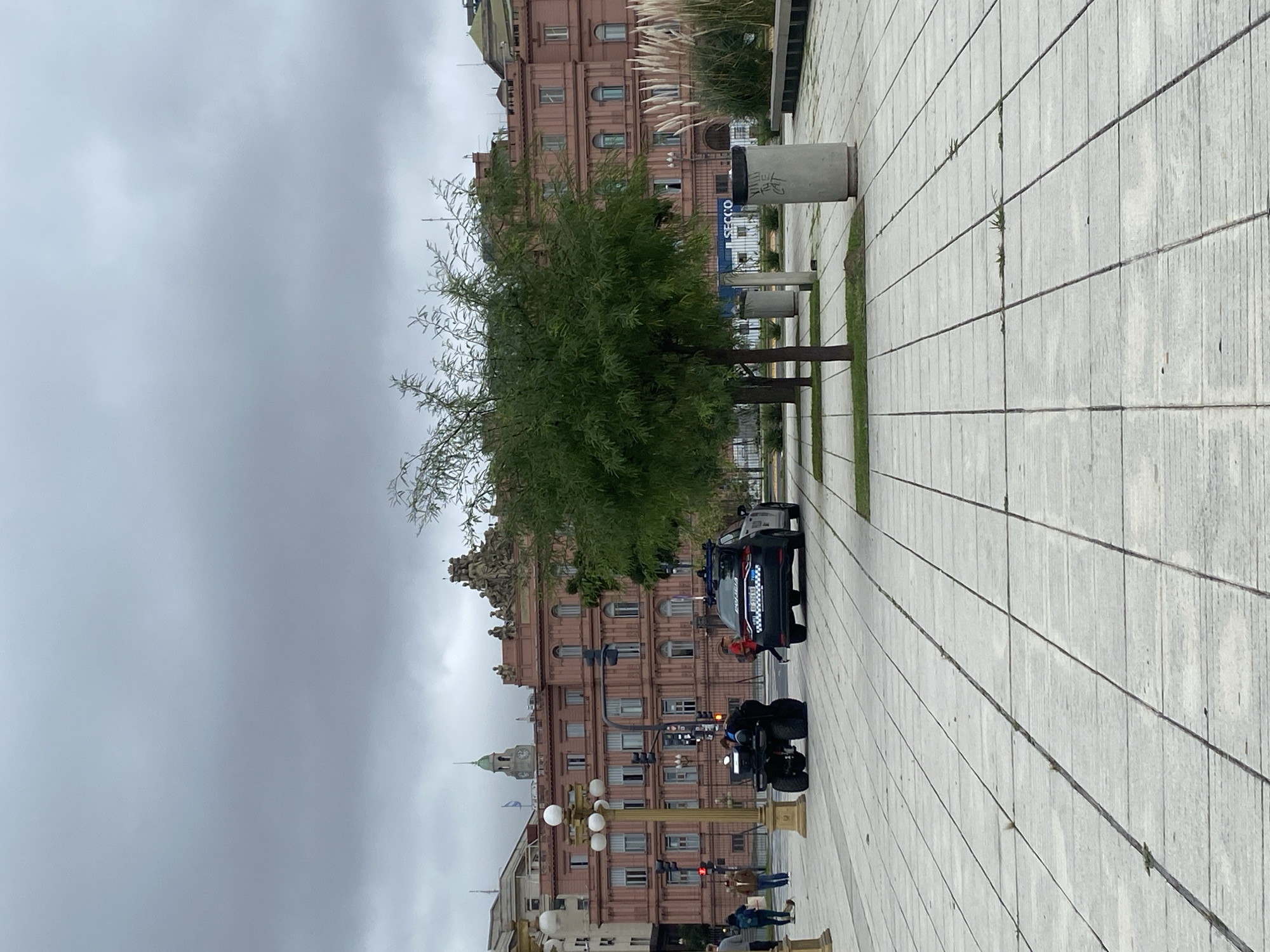 This image captures an urban scene dominated by a large, ornate, multi-story pink building, likely the Casa Rosada, under an overcast sky. The building features numerous windows, decorative architectural elements, and sculptures along its roofline, with a green dome or spire visible towards the left.
In the foreground, a wide, light-colored paved area, possibly a plaza or pedestrian walkway, extends from the bottom right to the middle left. This area is divided into large, rectangular sections by horizontal and vertical lines. Several trees with green foliage are planted along the paved area, creating a natural barrier. Taller, feathery ornamental grasses are also visible near the building.
A dark-colored SUV or car, which appears to be a police vehicle with "POLICIA" visible on its rear, is parked on the paved area. Near it, a four-wheeled vehicle, possibly an ATV or a specialized police mobility vehicle, is also present. Several lampposts with multiple spherical lights line the paved area. Concrete bins or planters are scattered along the pedestrian zone, one bearing graffiti. A blue sign with the word "SECCO" is visible near the building.
A few individuals are present in the background, walking or standing, adding a sense of scale to the scene. The weather is cloudy, indicating an overcast day without direct sunlight. The overall impression is that of a quiet daytime scene in a significant urban setting in Buenos Aires, Argentina.