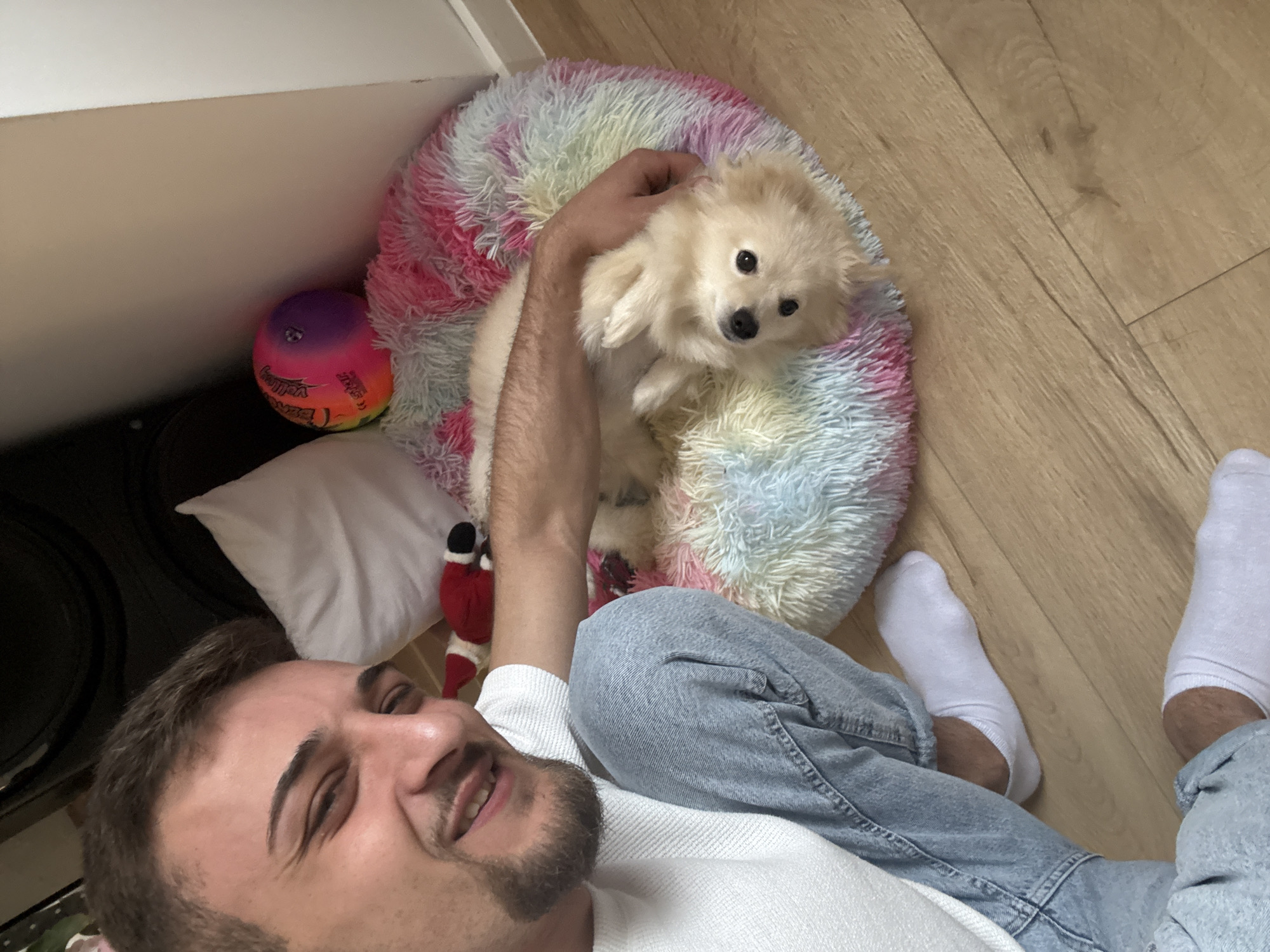 A man is lying on a wooden floor with a small, light-colored dog. The dog is in a round, multicolored plush bed. The man is wearing white socks, light blue jeans, and a white shirt. A red-and-black soft toy and a multicolored ball are visible near the dog bed. A white pillow is also present. A dark object is in the lower left corner. The scene appears to be indoors. There is no data available to determine if the image location is Varna, Bulgaria.