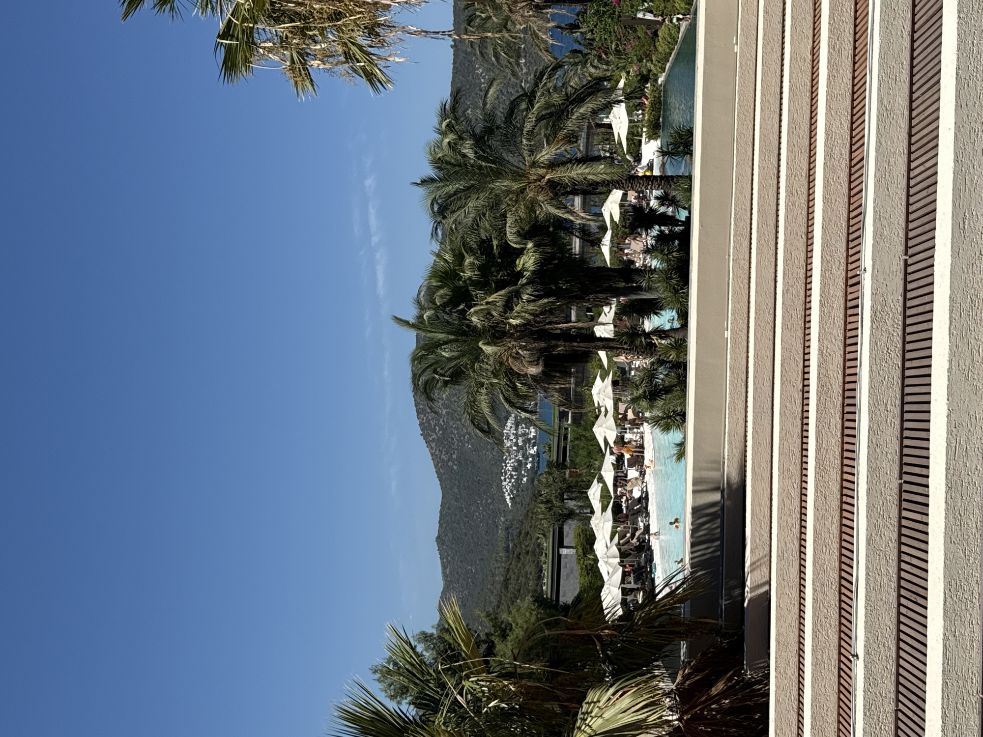 This is a bright, outdoor, eye-level, medium shot of a resort swimming pool area with a distant view of a town on a hillside overlooking the sea. In the foreground, there are several levels of a beige, textured structure with wooden slats. The middle ground features a large, blue swimming pool with people swimming and sunbathing around it. Numerous white umbrellas are set up on lounge chairs. Palm trees, some with dry fronds, are scattered throughout the scene. In the background, a densely populated white town is visible on a green, hilly landscape. The sea is blue and calm, and the sky is a clear, bright blue. The overall impression is of a sunny, resort-like atmosphere in Bodrum, Turkey.