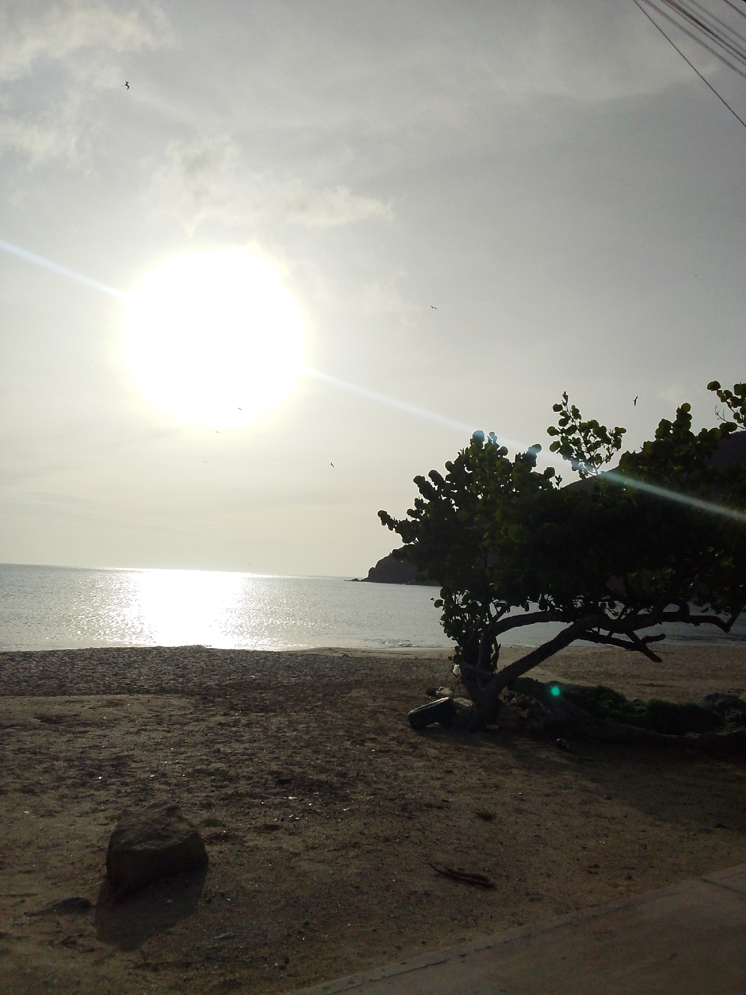 The image depicts a tranquil scene at the beach in Juan Griego, Venezuela, under a bright, hazy sun. The sun is a dominant feature, positioned in the upper left quadrant, casting a strong glare and a lens flare across the sky and water. The sea is calm, with the sun's reflection creating a bright, shimmering path on its surface. In the foreground, a sandy beach stretches towards the water, with a solitary dark rock visible on the left side. A windswept tree with dark green foliage stands prominently on the right, its branches extending horizontally and casting shadows on the sand. The tree is silhouetted against the bright sky in places, highlighting its form. Several birds are scattered across the sky. In the distance, a rocky headland or small mountain range juts out into the sea on the right. The overall atmosphere is one of quiet serenity, typical of a tropical coastal environment. The presence of power lines in the upper right corner suggests proximity to a developed area.