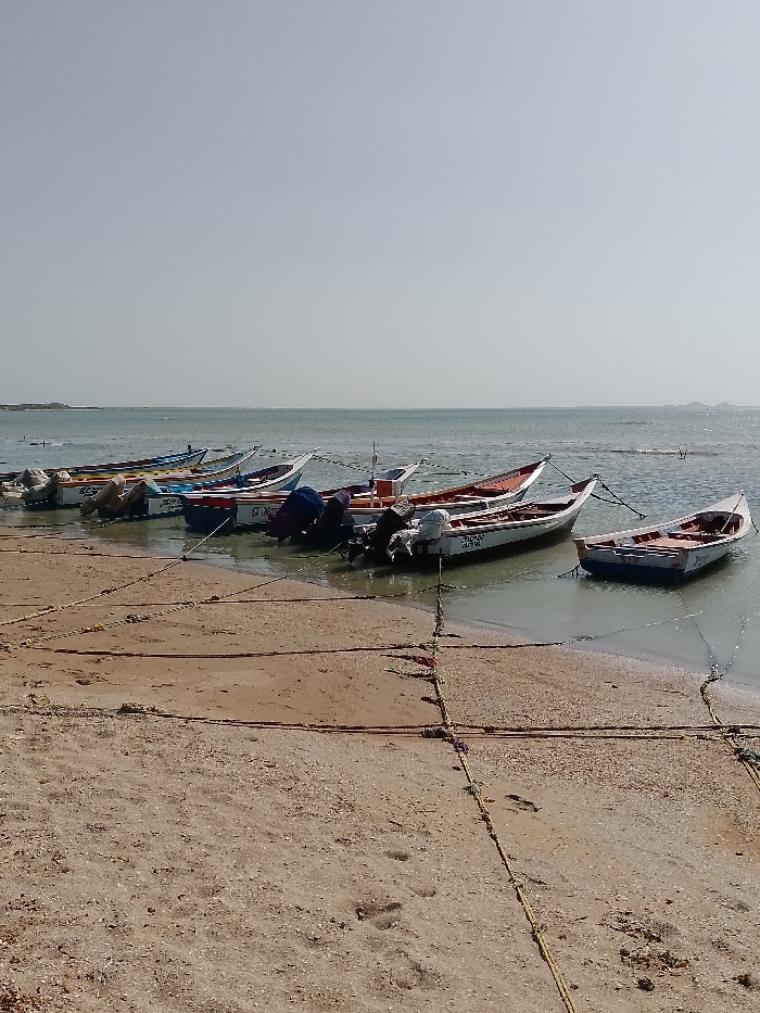 The image depicts a static scene along the shoreline of La Salineta, Venezuela, on a clear day. The upper half of the frame is dominated by a light grey, hazy sky, meeting a calm, light blue-green body of water at a high horizon line. Approximately nine small, open fishing boats are moored parallel to the shore, partially resting on wet sand and partially floating in shallow water.
From left to right, the boats vary in color, including white with blue trim, blue, red, and orange, with several having white hulls. Most are equipped with outboard motors, some of which are covered with blue protective tarpaulins. Visible text on one white boat reads "PUNGO" and partially "MARACAI." Ropes, yellow and brown in color, extend from the boats and crisscross the light brown, sandy foreground. These ropes run horizontally and diagonally across the beach, indicating mooring lines. The sand shows ripples from the receding tide and scattered small shells, with faint footprints visible in the lower right portion of the frame. Distant land or small islands are faintly visible on the horizon to the left and far right. No individuals are present in the scene, and no overt actions or interactions are occurring.