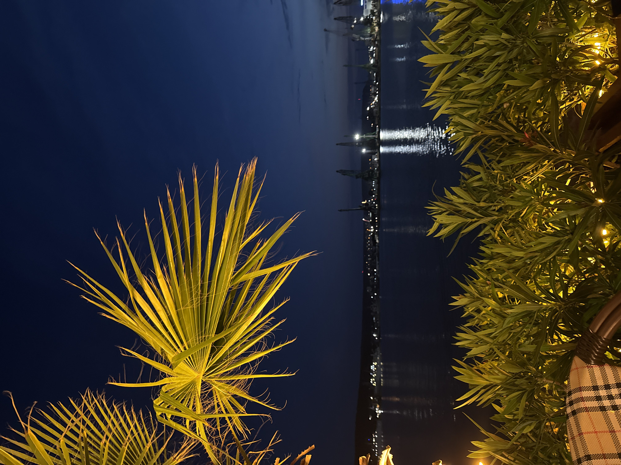 The image captures a nighttime view overlooking the Port of Varna, Bulgaria, from an elevated outdoor vantage point. In the upper left quadrant, a large, brightly illuminated palm frond, exhibiting yellow-green tones, extends across the frame. The lower quarter of the image is filled with dense green foliage, likely shrubs, containing numerous small, warm yellow light sources. A checkered fabric in brown, red, and white patterns, along with a dark, woven armrest, is visible on the bottom left, suggesting a seating area.
The midground features a wide expanse of dark blue water, reflecting elongated vertical streaks of white and yellow artificial light from the distant shore. Across this body of water, the background reveals the low-lying coastline of Varna. A prominent feature of this distant landscape is a series of tall, industrial port cranes, uniformly spaced and partially illuminated against the twilight sky. Scattered city lights dot the landmass beyond and between the cranes. The sky above is a deep, dark blue, transitioning from twilight to full night, with subtle cloud formations. No individuals are present in the scene.