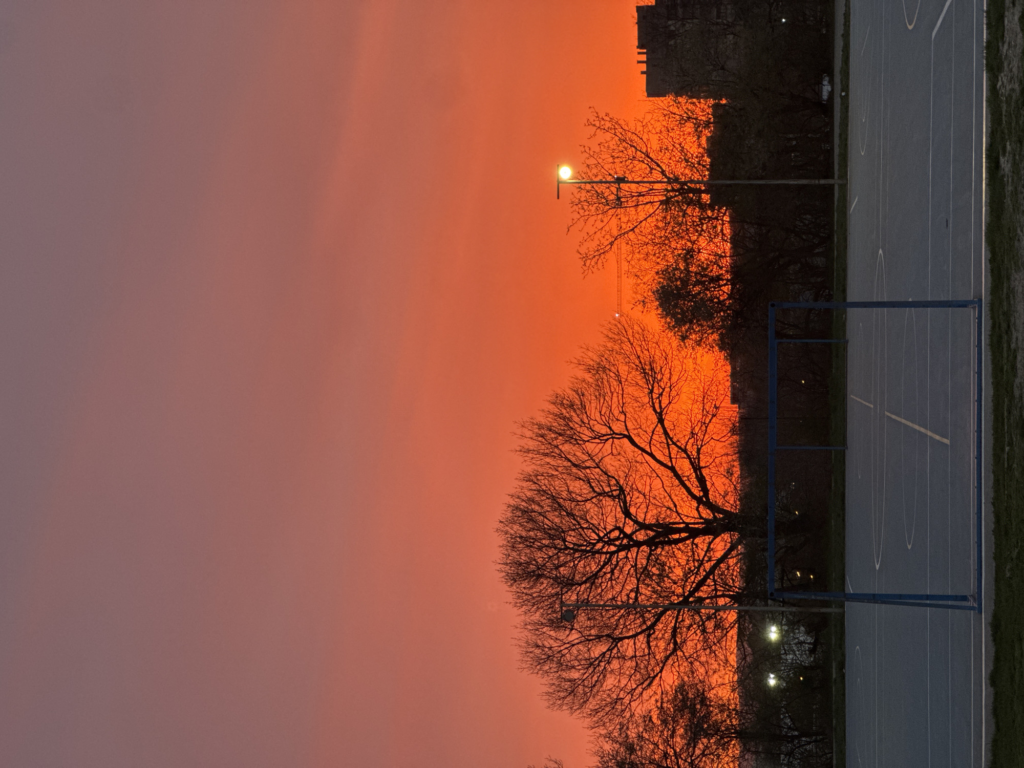 A tilted outdoor shot reveals an asphalt basketball court to the right and a fiery orange sky with bare trees to the left. The court has white lines and a blue painted border, with a blue basketball hoop centered on the court. The sky's intense orange suggests either sunrise or sunset. Bare tree branches are silhouetted against the sky. Street lamps are visible behind the trees. A building can be seen atop the treeline. The location is likely an outdoor basketball court in a public park or schoolyard in the city of Varna, Bulgaria, judging by the Eastern European urban aesthetic. No people are visible.