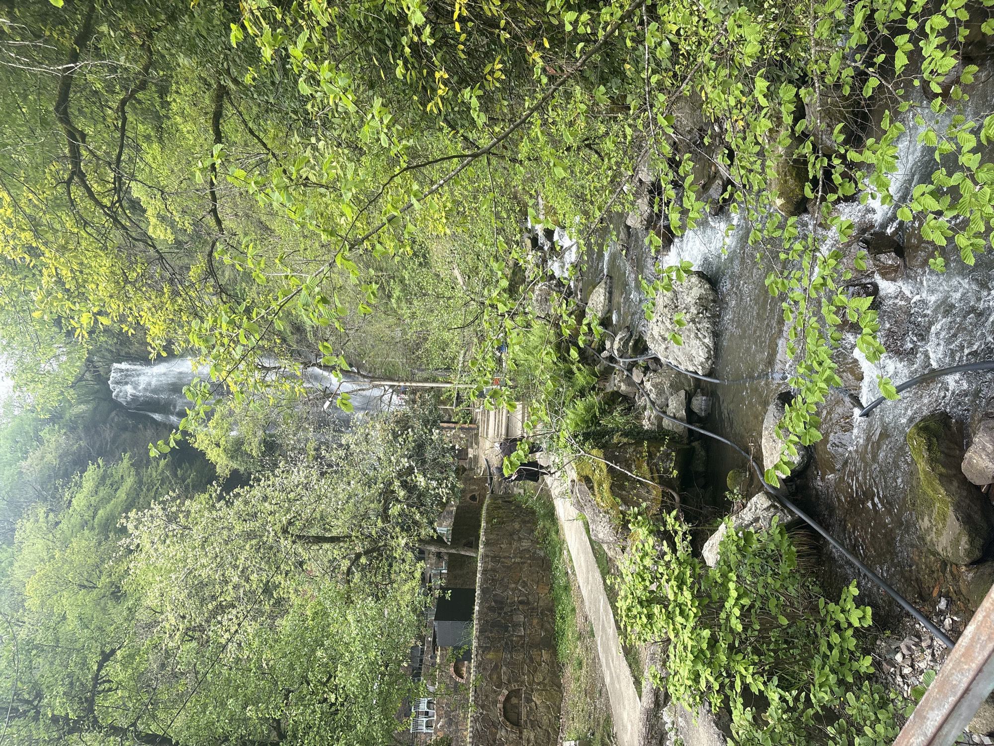 A medium-angle, eye-level shot shows Kveda Makhuntseti Waterfall and its immediate surroundings in Kveda Makhuntseti, Georgia. The landscape is lush, with abundant greenery from trees and plants, primarily featuring shades of green. A stream flows vigorously with white water, its course visible in the upper right of the shot. The foreground consists of dense foliage that blurs the edges, framing the scene.
A stone pathway runs through the middle of the image, with a low stone wall on one side and more greenery on the other. In the distance, the waterfall is visible, partially obscured by vegetation. A metal railing is visible in the bottom right corner.
There are no people visible. A utility pipe runs alongside the creek.