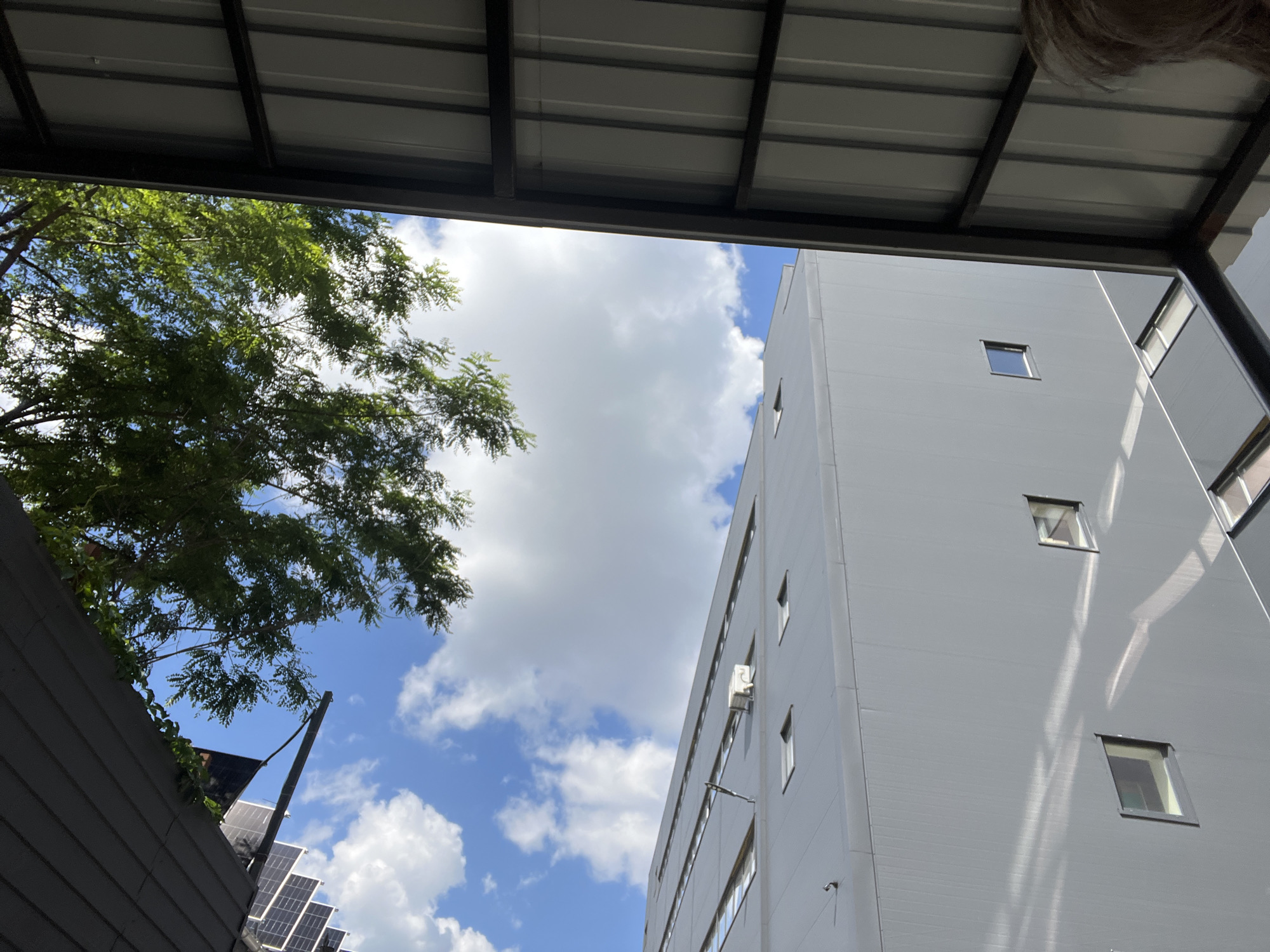 The image shows an exterior view looking up towards the sky, framed by an overhead structure. To the left, a lush green tree with small leaves is visible, its branches reaching towards the sky. To the right, a modern, tall, light gray building with numerous rectangular windows dominates the frame. Some of the windows are open. A white outdoor air conditioning unit is mounted on the building's facade. A dark gray, sloped structure, possibly a fence or roof, is in the foreground on the left, with solar panels visible on top. The sky is bright blue with fluffy white clouds. Sunlight casts distinct shadows on the building's surface, suggesting it is daytime. The overall scene depicts an urban environment with a mix of nature and modern architecture under a clear sky.