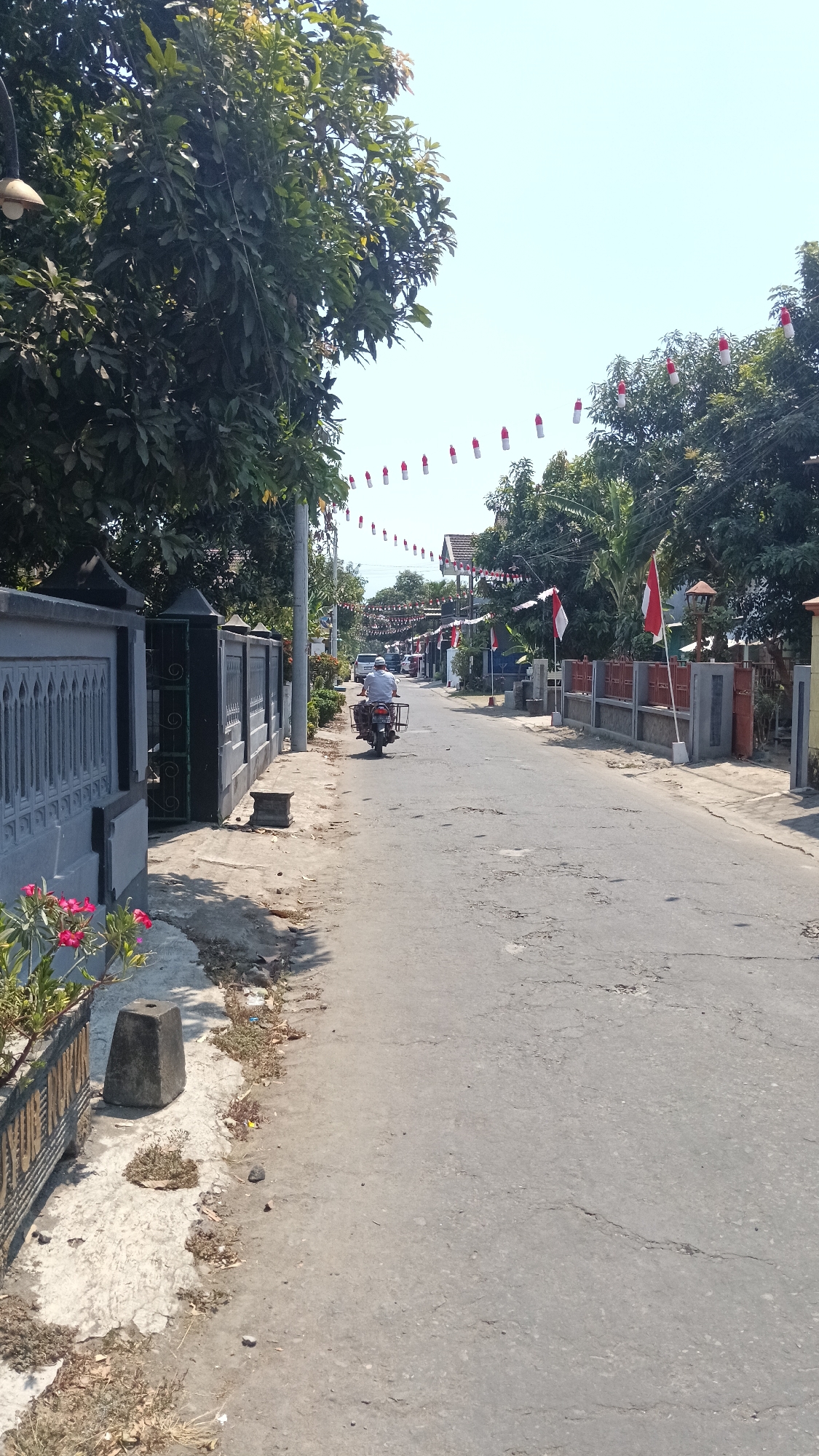 The image depicts a street scene in Purwokerto, Indonesia, likely decorated for a national holiday given the prominent display of red and white Indonesian flags and bunting. In the foreground, a gray decorative fence runs along the left side of the street, with a planter containing pink flowers and a concrete block. A paved road stretches into the distance, showing signs of wear and tear with cracks and uneven patches. A person on a motorcycle, wearing a white shirt and hat, is traveling away from the camera down the street. Along the sides of the road, houses and trees are visible, with more flags and bunting strung between them. The sky is clear and blue, indicating a sunny day. The overall impression is of a residential street in a tropical climate, adorned for a festive occasion.