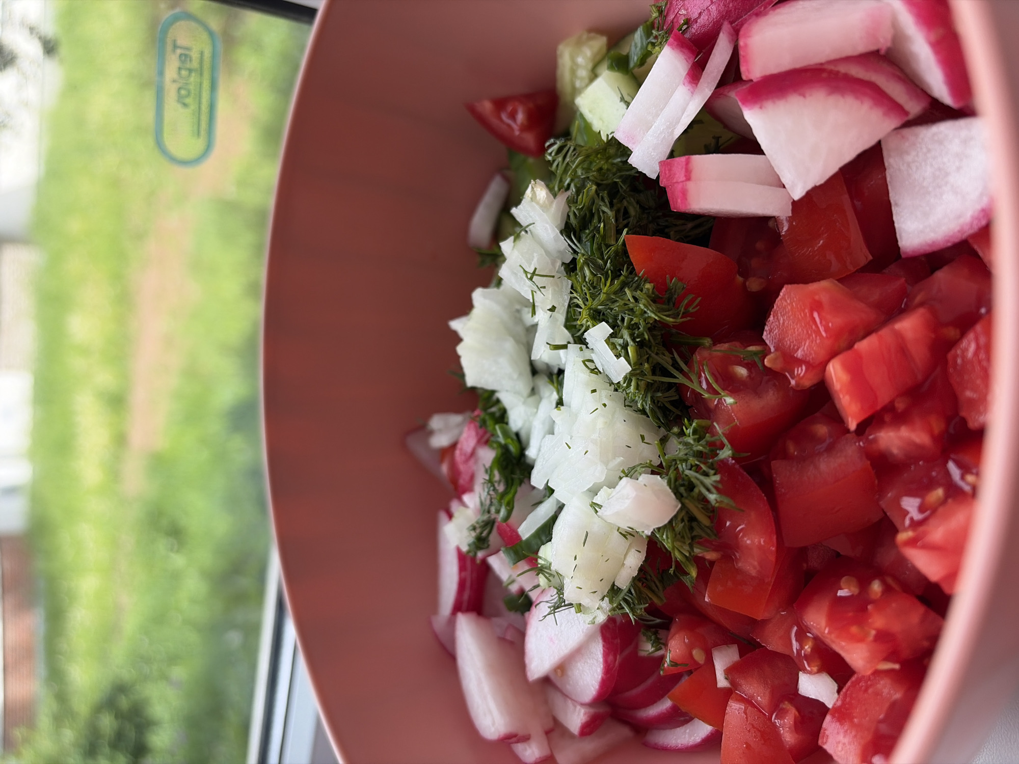 The image shows a close-up of a pink bowl filled with a salad. The salad ingredients include chopped tomatoes, radishes, cucumbers, dill, and onions. The bowl is positioned near a window with a blurry green background visible outside. The image was taken in the city of Chaikovsky, Russia.