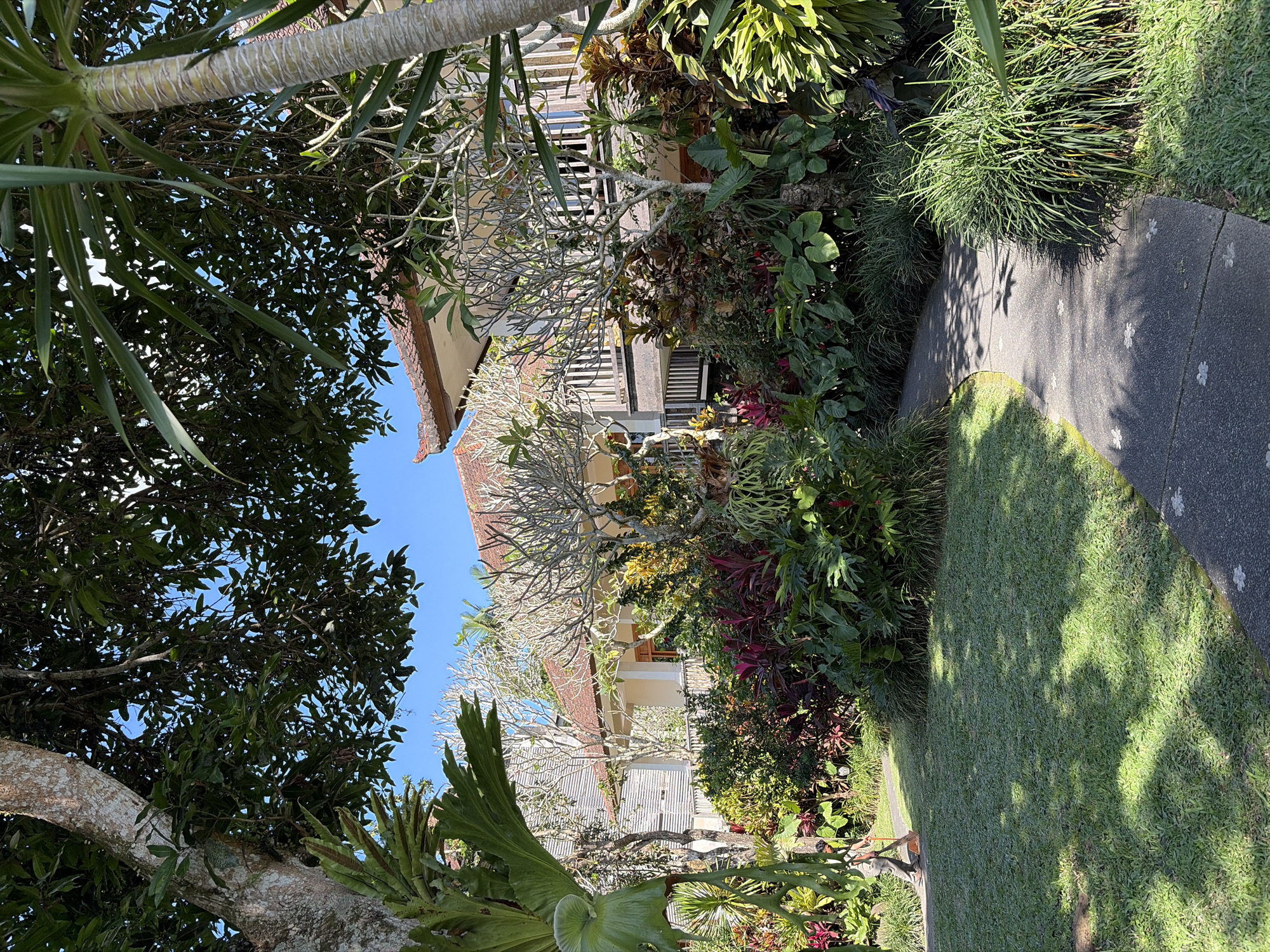 This is a medium shot photograph taken outdoors in Ubud District, Indonesia, featuring a pathway winding through a lush garden in front of a building. The pathway is made of dark grey stone with a slightly textured surface, and it curves gently from the lower left to the upper right of the frame. Small, light-colored floral patterns are embedded in the pathway.
On the left side of the pathway is a well-maintained lawn of bright green grass, dappled with shadows cast from overhead trees. Further to the left, a large tree trunk with textured bark is visible, along with large, leathery green fronds of a fern or similar plant.
The right side of the pathway is densely populated with a variety of tropical plants, featuring large green leaves, vibrant red foliage, and smaller, lighter green plants. These plants form a thick border that obscures much of the lower portion of the building.
The building itself appears to be a two-story structure with a terracotta-tiled roof. The upper story has a wooden balcony with a slatted railing. The walls of the building are light-colored, and wooden trim and window frames are visible. Some bare-branched trees are situated in front of the building, their branches creating a delicate silhouette against the structure.
In the background, more greenery and the blue sky are visible. A person is depicted in the lower left of the image, wearing light-colored clothing and using a broom to sweep the pathway. They are partially obscured by foliage. The overall scene conveys a sense of tranquility and natural beauty, typical of a tropical garden setting in Bali.