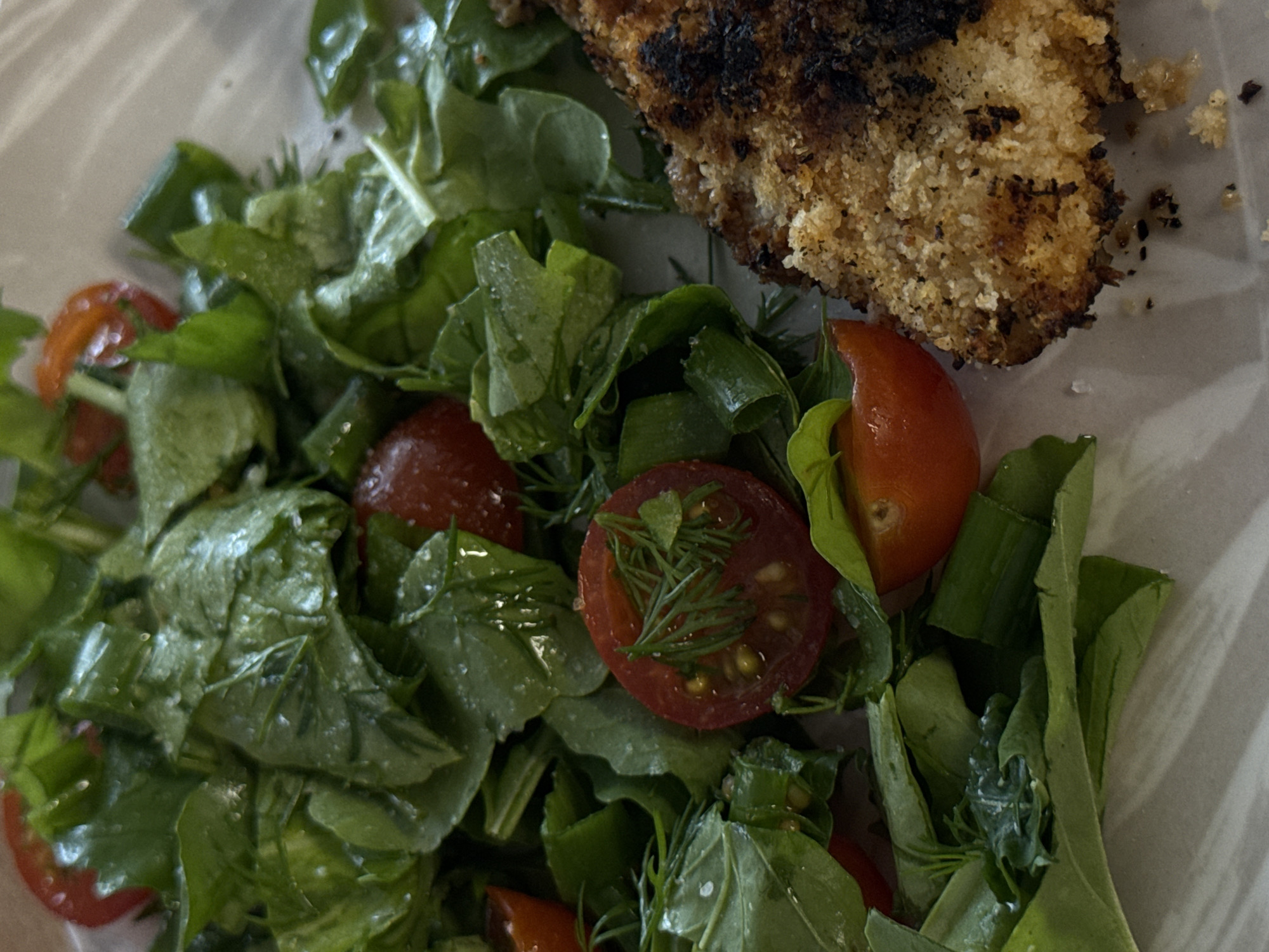 A close-up, top-down photograph showcases a meal consisting of a breaded cutlet and a fresh green salad, served on a light-colored plate or shallow bowl. The breaded cutlet, partially visible in the upper right quadrant, features a coarse, crispy, golden-brown coating with noticeable dark, charred patches, suggesting it has been well-cooked or grilled.
The main subject of the image is the vibrant green salad, occupying the majority of the frame. It comprises an assortment of leafy greens, possibly arugula or spinach, mixed with several halved cherry tomatoes. The tomatoes are a rich red, with some cut surfaces revealing their inner pulp and small seeds. Delicate sprigs of fresh dill are scattered throughout the salad and on top of some tomato halves, adding a touch of lighter green and fine texture. The salad leaves appear fresh and have a slight sheen, possibly from a light dressing.
The setting appears to be indoors, with soft, even lighting illuminating the food. There are no people visible, and no discernible text is present in the image. The composition focuses intimately on the textures and colors of the meal.