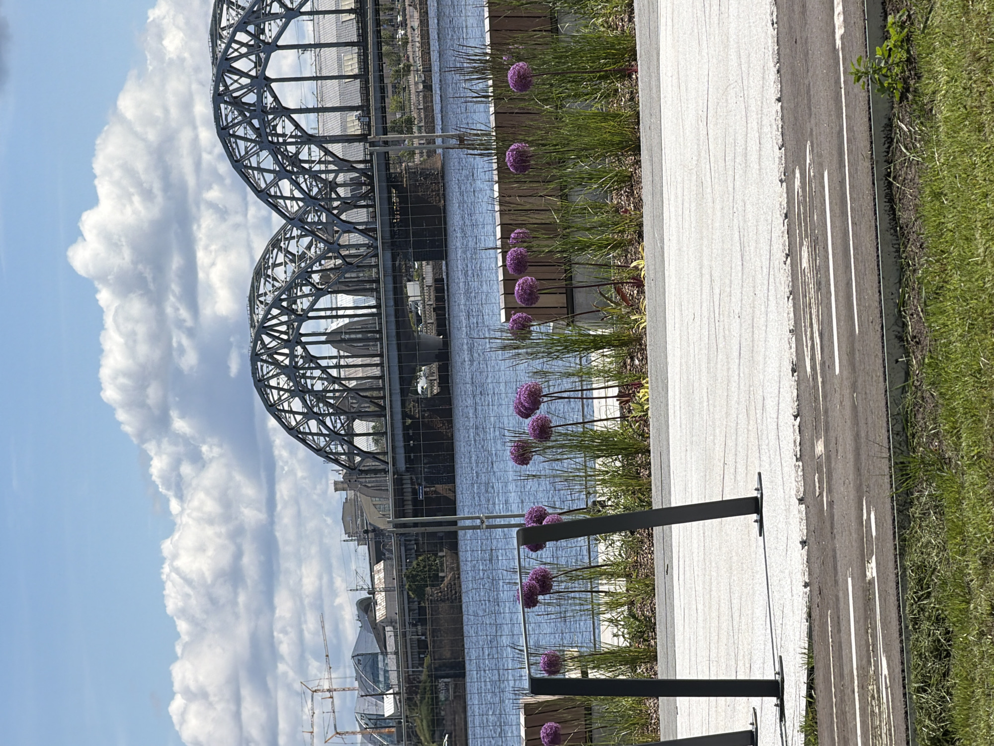 This image shows a view across a body of water in Riga, Latvia, towards a large, multi-arched railway bridge. The bridge is a prominent structure with intricate metalwork. In the foreground, a paved walkway runs parallel to the water. Along the edge of this walkway, there are several tall, purple Allium flowers growing among green grasses. Behind the flowers, a wooden bench is visible. The water is blue and appears calm. In the background, beyond the bridge, more city buildings and industrial cranes are visible, suggesting an urban and possibly developing area. The sky is partly cloudy with distinct white cumulus clouds against a blue backdrop. There are no people or animals clearly depicted in the scene. The overall atmosphere is one of an urban waterfront with a focus on the landscape design in the foreground.