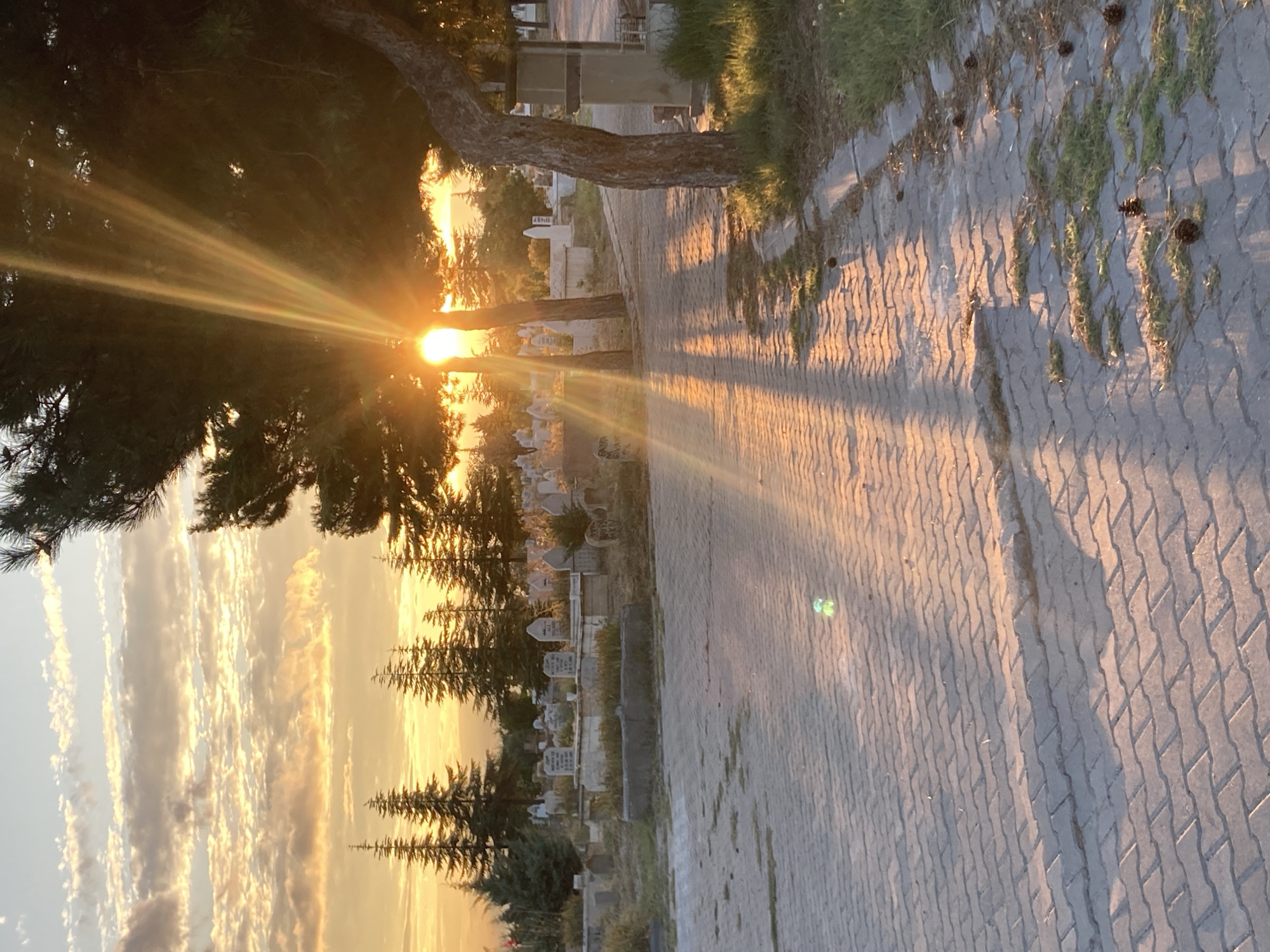 The image depicts a cemetery in Avanos İlçe Merkezi, Turkey, during sunset. The sun's rays pierce through the branches of a large tree in the foreground, casting long shadows across a paved walkway. The walkway is made of interlocking gray pavers. Beyond the walkway, numerous gravestones of various shapes and sizes are visible, interspersed with sparse vegetation and smaller evergreen trees. The sky is filled with dramatic clouds illuminated by the setting sun, creating a warm, golden-orange hue. The scene is tranquil and somewhat somber, characteristic of a cemetery at dusk. No people are present in the image.