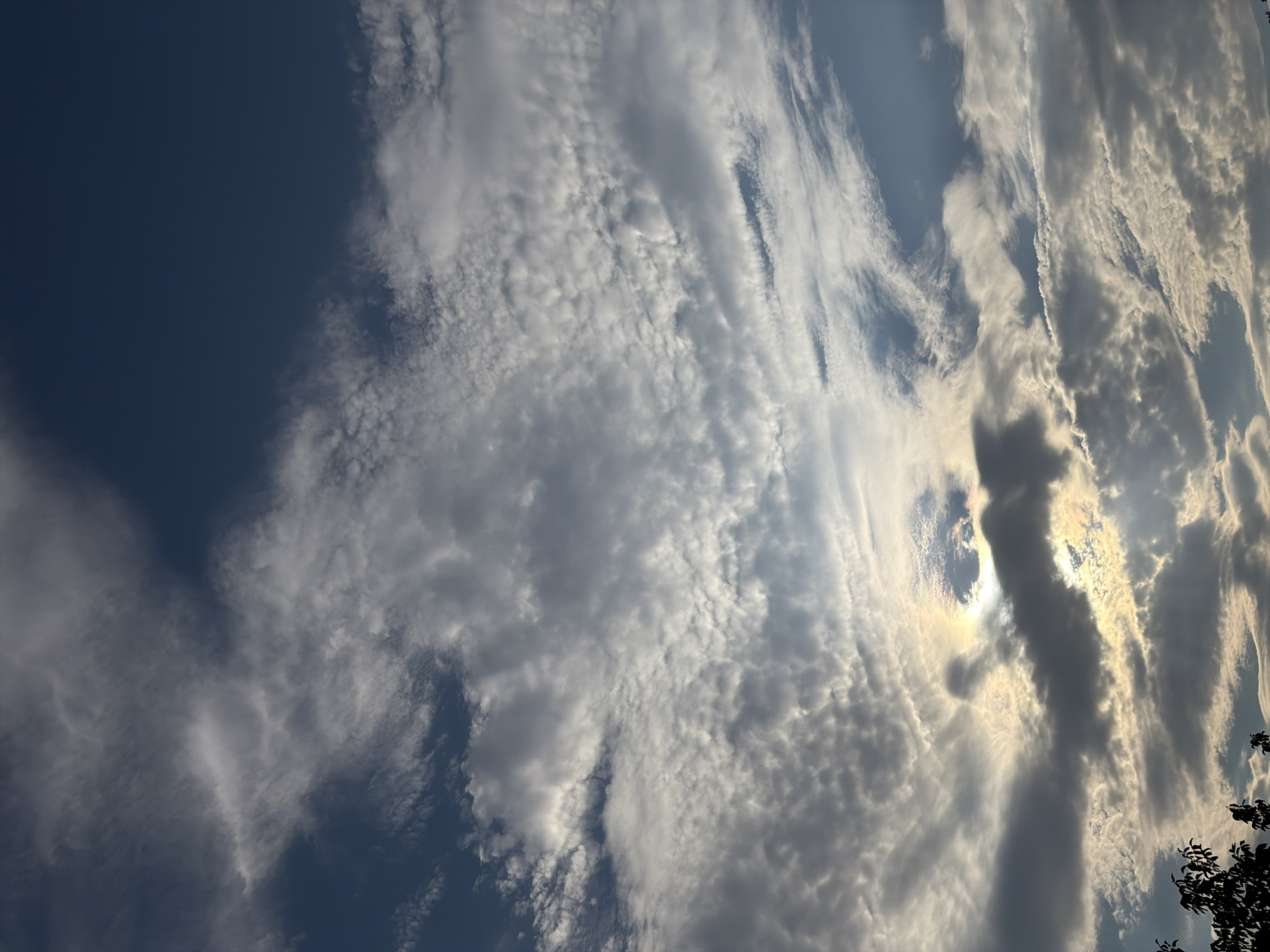 This image captures a dramatic sky scene over Oxentea, Moldova, at what appears to be late afternoon or early evening. The sky is filled with a complex arrangement of clouds, ranging from dark, heavy masses to wispy, illuminated formations. A notable feature is a sundog or parhelion, a bright halo-like optical phenomenon, visible where the sun is partially obscured by clouds. This sundog is casting rays of light, creating a spotlight effect in the sky. The lower portion of the image shows the silhouetted tops of trees, indicating a natural or semi-natural environment bordering an urban or suburban area. The overall impression is one of dynamic atmospheric conditions.