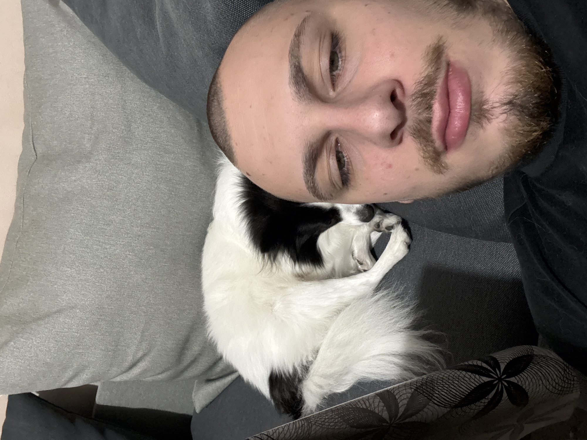 A selfie-style photograph shows a person with short-cropped hair and a beard, lying down next to a curled-up black and white dog. The person is on a gray upholstered surface, likely a couch or bed. A gray pillow is visible to the left. The location is unspecified.