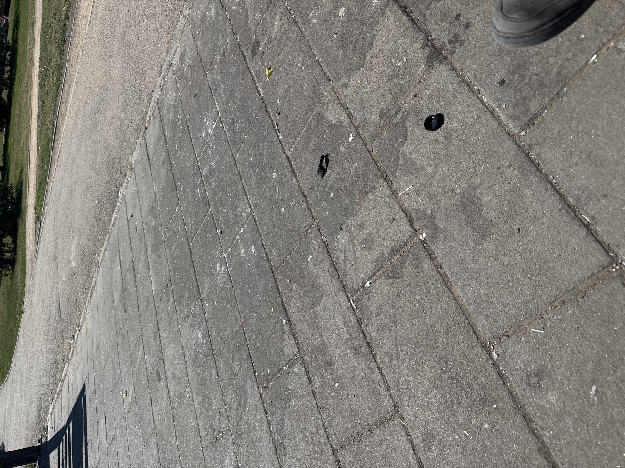 This media file shows a close-up, low-angle view of a paved area. The ground is covered in rectangular gray paving stones. To the left, there is a strip of gravel next to a grassy area with some trees. A dark shadow of a railing is cast on the paving stones in the lower left corner.
There are several small objects scattered on the paving stones, including a yellow leaf, a small piece of debris, and what appear to be two dark, circular objects, possibly caps or bottle tops. A small, dark object resembling a crumpled piece of paper or plastic is also visible. In the upper right corner, a portion of a dark grey shoe is visible, suggesting a person is standing or has walked through the scene.
The lighting suggests it is daytime, with the sun casting a strong shadow. The scene appears to be outdoors in a public area like a park or a pathway. The overall impression is of an ordinary outdoor environment on a bright day. No text is visible in the image. The location context of Krasnoyarsk, Russia, does not provide any specific visual cues within the image itself.