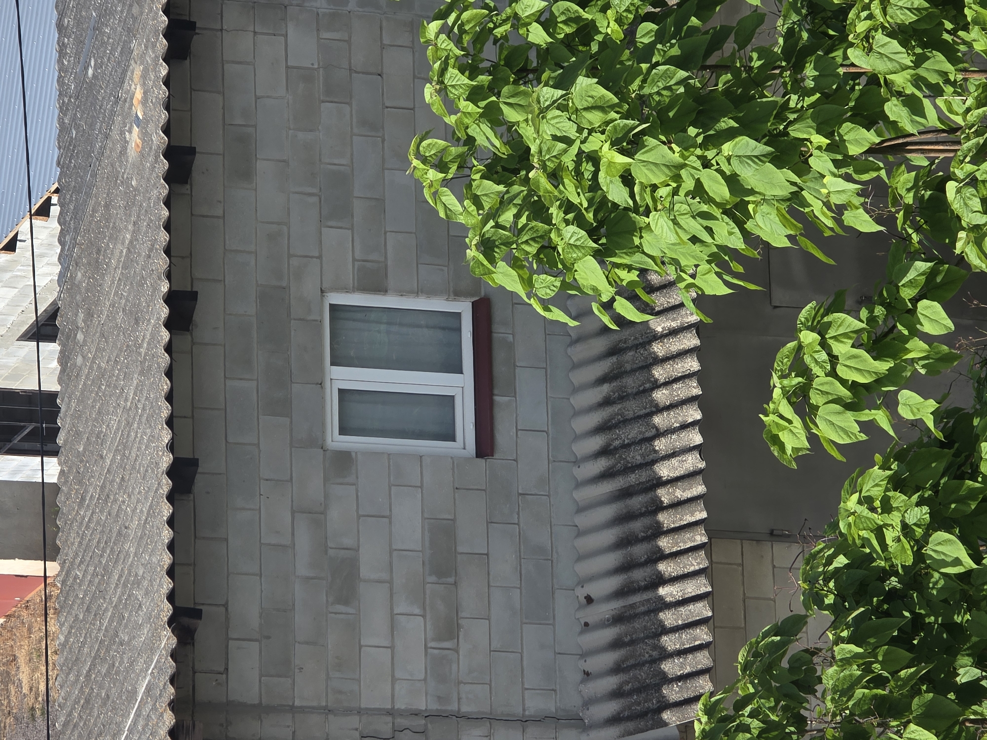The image shows a section of a light gray cinder block building with a corrugated roof. A single white-framed window with a dark red sill is visible on the building's facade. In the foreground, lush green foliage from a tree partially obscures the view of the building. The scene is likely an outdoor view of a residential or industrial structure in Dubno, Ukraine. The lighting suggests it is daytime, with shadows cast by the foliage.