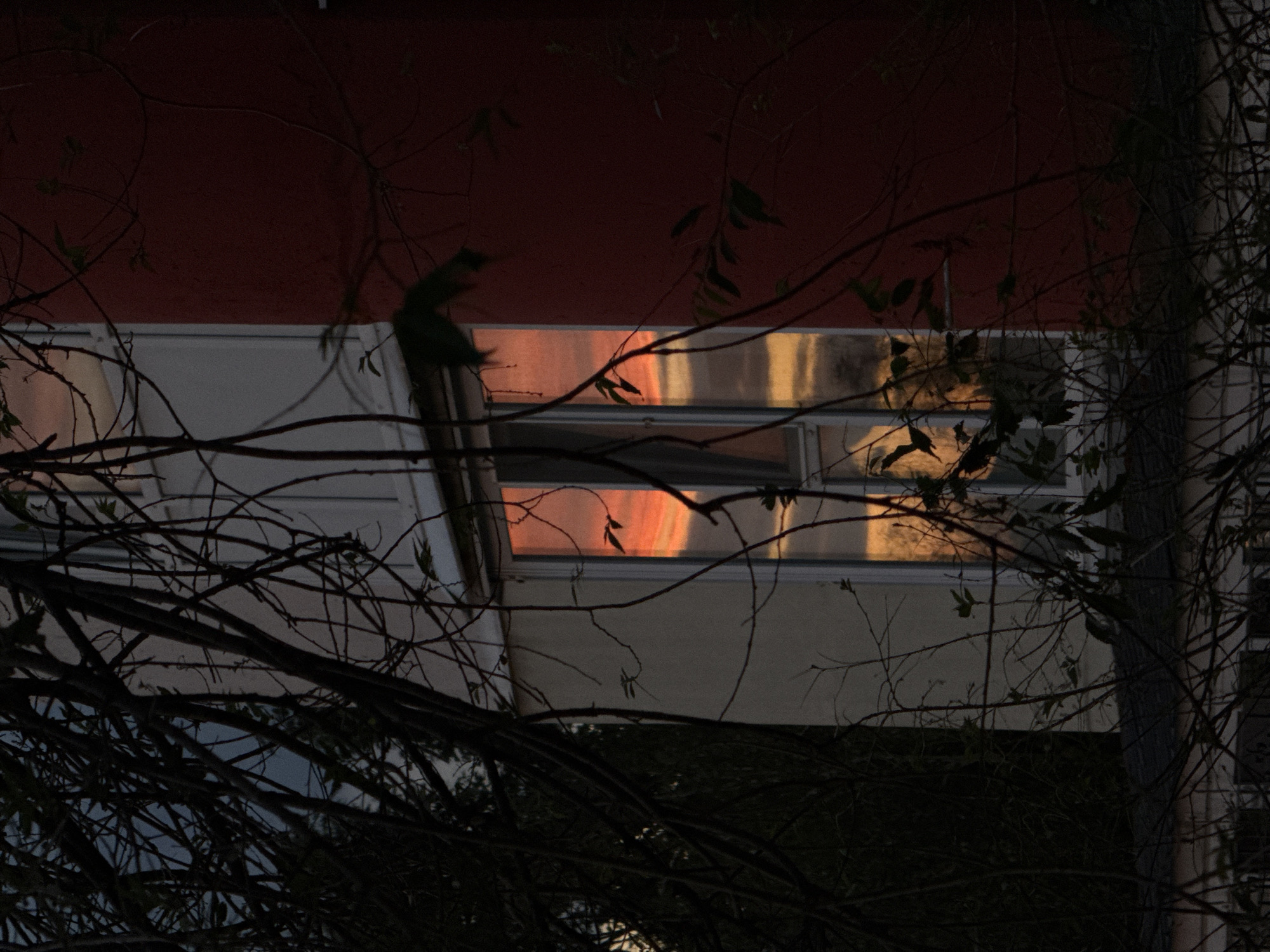 The image depicts a building with red and white sections, partially obscured by dark, silhouetted tree branches. A window reflects a vibrant sunset with hues of orange and yellow. The setting appears to be an urban environment in Luhansk, Ukraine, given the context provided. There are no people or discernable actions taking place. The focus is on the architectural elements and the natural phenomenon of the sunset reflected in the window, framed by the surrounding foliage.