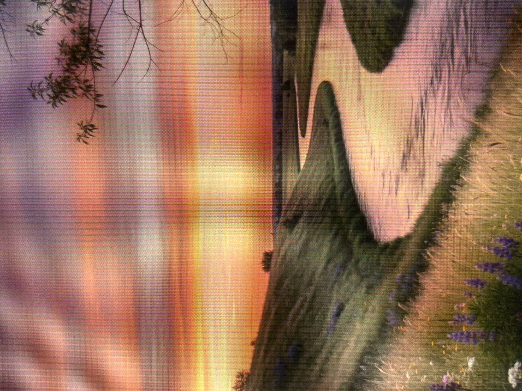 The image shows a landscape scene at sunset. In the foreground, there's a path or river winding through green grassy terrain, dotted with wildflowers, including purple ones. A tree branch with sparse foliage is visible in the top left corner. The sky is filled with warm hues of orange, yellow, and pink, indicative of either sunrise or sunset. The location is not discernible from the visual information provided.