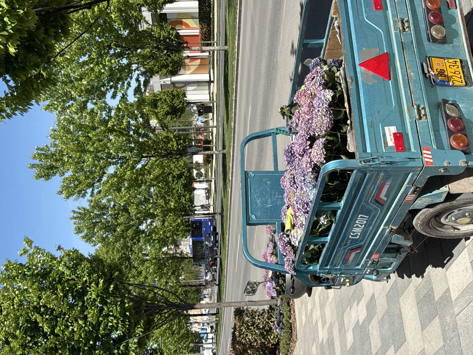 The image shows a parked turquoise three-wheeled vehicle filled with purple and white hydrangea flowers. The vehicle has a license plate reading "BG 226-34". The vehicle is positioned on a paved sidewalk near a street lined with green trees. Across the street, there are buildings. A blue bus and other vehicles are visible in the distance on the street. The image was taken in Belgrade, Serbia.
