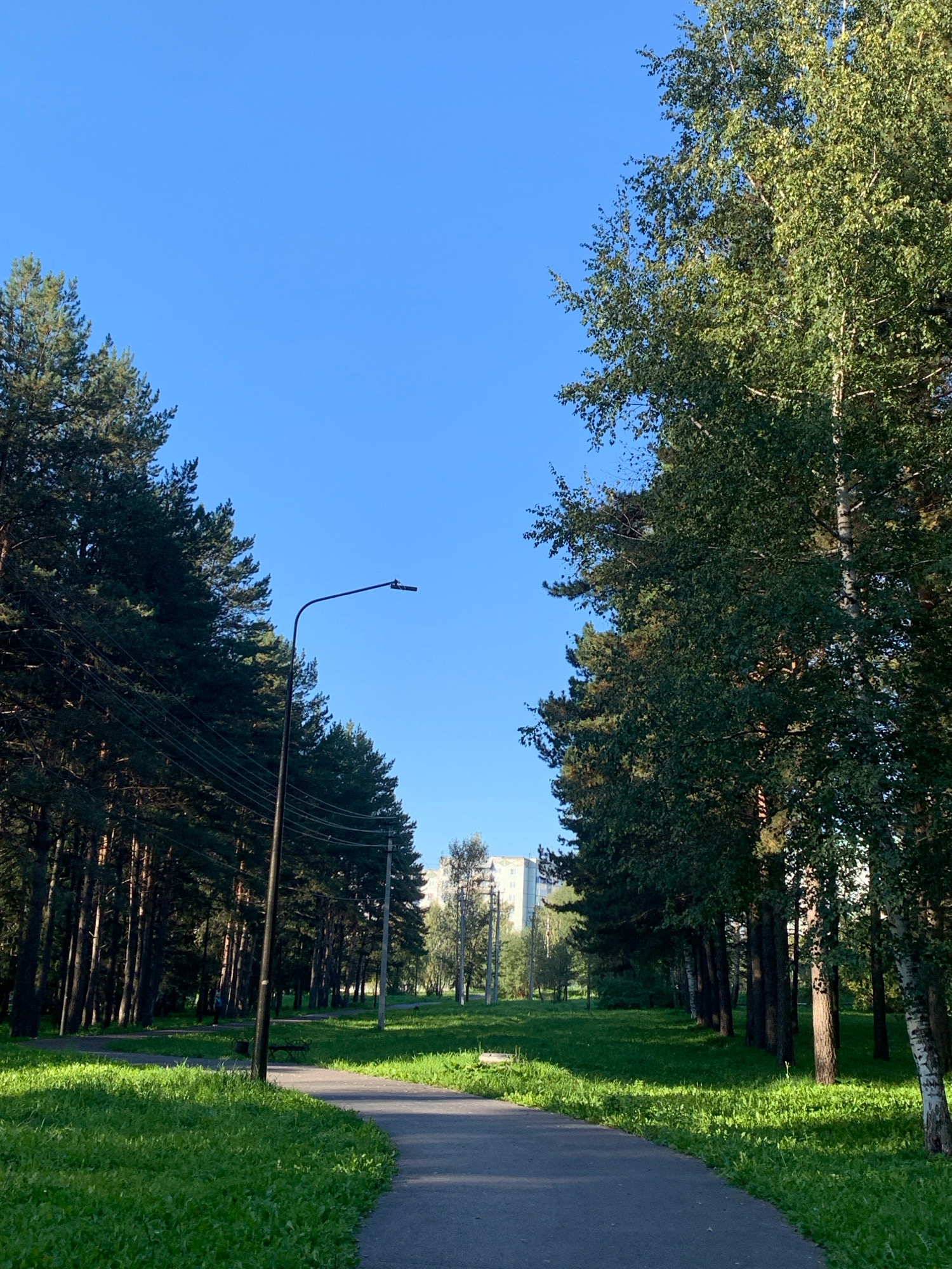 The image depicts a park scene with a paved pathway curving through lush green grass. Tall trees, primarily pines and birches, line both sides of the pathway, creating a natural canopy. A street lamp stands prominently on the left side of the path. In the background, a multi-story building is visible, suggesting an urban or suburban setting. The sky is a clear, bright blue. The lighting indicates it is daytime, likely morning or late afternoon, given the shadows cast by the trees. The scene is serene and appears to be a public park in Prokopyevsk, Russia, offering a tranquil space for recreation.