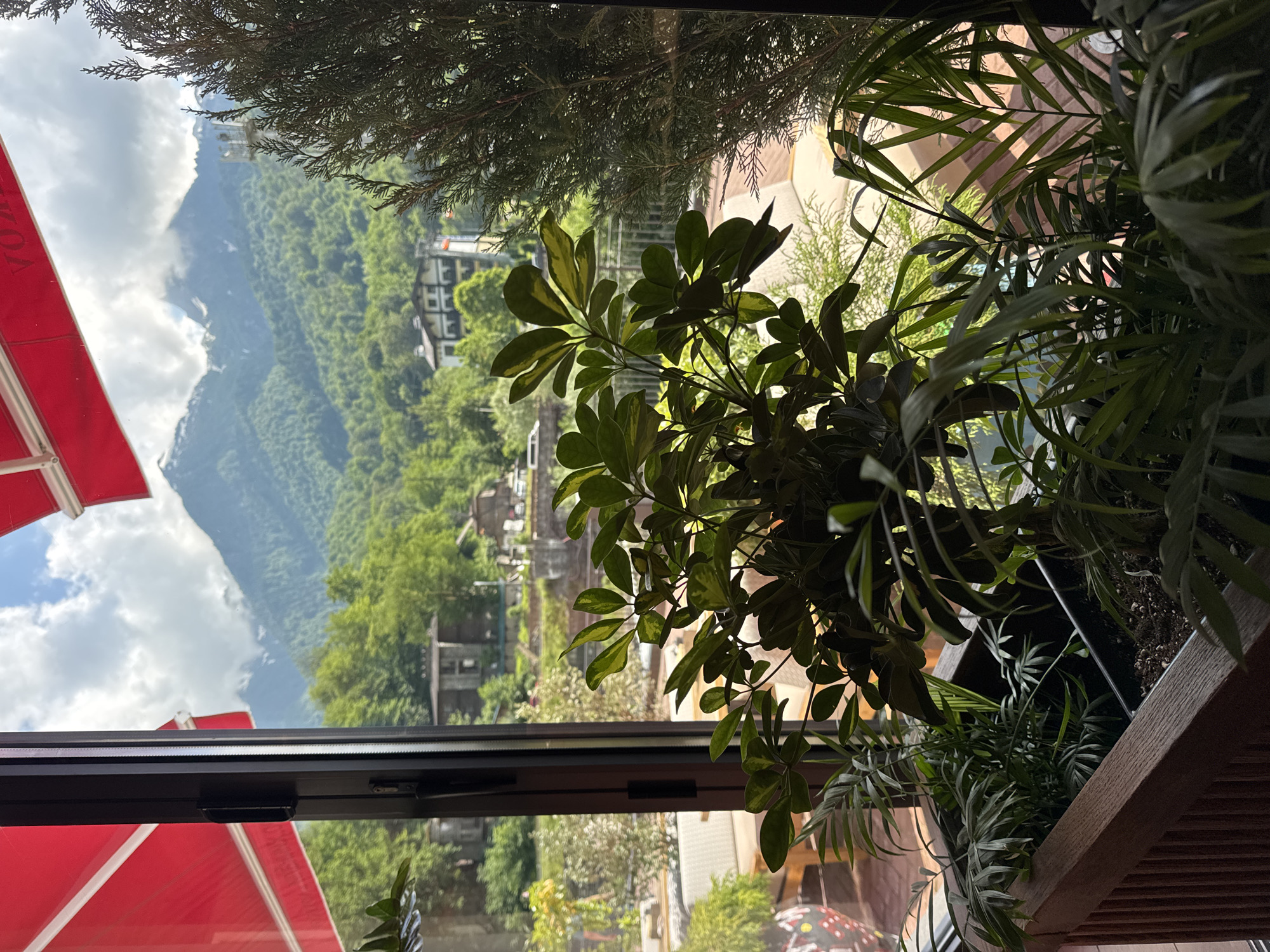 This image, taken in Estosadok, Russia, offers a view from indoors, looking out through a window and framed by potted plants. The scene depicts a lush, mountainous landscape under a bright, cloudy sky, suggesting it is daytime.
In the foreground, several houseplants partially obscure the view. To the left, a vibrant red awning is visible, hinting at an outdoor seating area, possibly a cafe or restaurant. In the middle ground, the window reveals a dense green mountainside dotted with buildings and trees. The architecture appears to be a mix of traditional and modern styles, with some structures exhibiting balconies and light-colored facades. The overall impression is one of a developed natural environment, where human habitation is integrated with the scenic beauty of the mountains. The sunlight suggests it's likely late morning or early afternoon. The image does not appear to capture any people or specific events, focusing instead on the interplay between the indoor plants and the outdoor panorama.