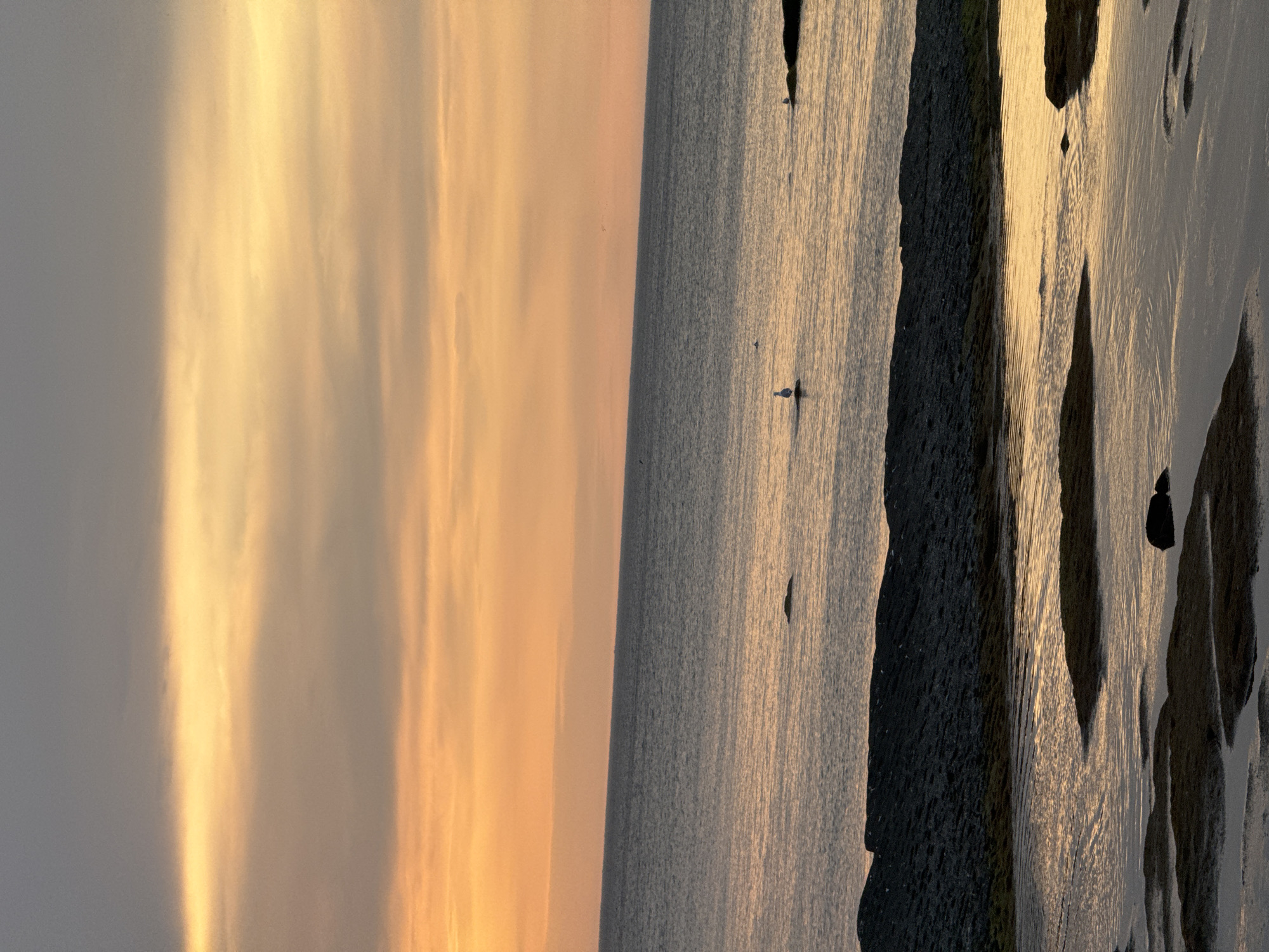 The image depicts a serene coastal scene at sunset or sunrise. The sky is a gradient of colors, transitioning from a deep gray at the top to warm oranges and yellows towards the horizon, suggesting the presence of clouds illuminated by the setting or rising sun. A vast expanse of calm water occupies the middle ground, reflecting the sky's colors. In the foreground, a rocky shoreline is visible, with some areas covered by shallow water that mirrors the sky. A solitary white bird stands on a rock in the water, and other small dark shapes, possibly birds or rocks, are scattered in the water and along the distant shoreline. The overall impression is one of tranquility and natural beauty. The scene is not identifiable as being in Aktau, Kazakhstan.