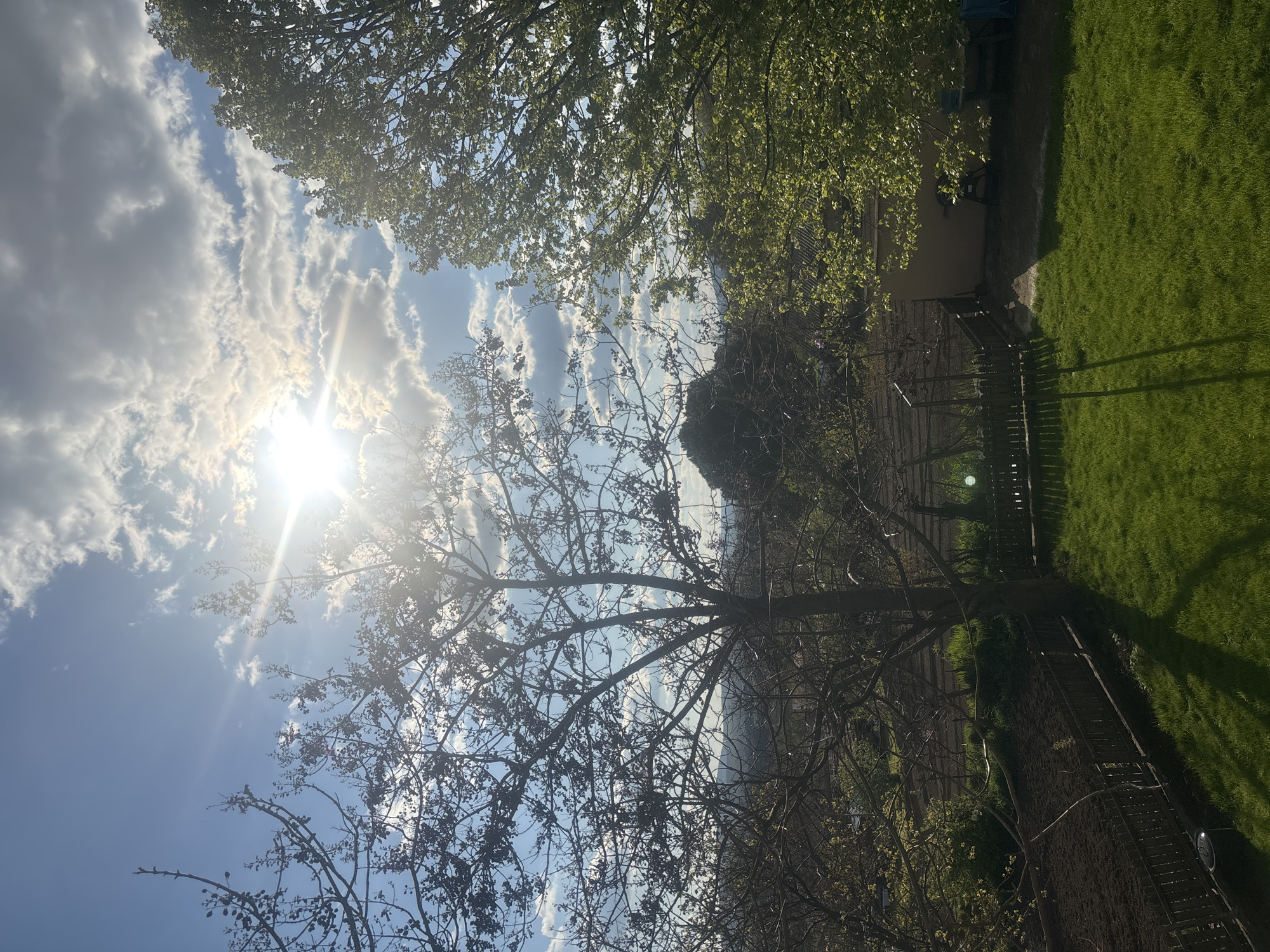 This media file captures an outdoor scene, likely a backyard or garden in a semi-rural setting. The image is oriented vertically but depicts a landscape view when correctly rotated.
The sky dominates the upper left portion of the frame, showcasing a bright blue expanse dotted with scattered white, fluffy clouds. The sun is prominently featured in the upper left corner, radiating a strong sunburst effect and creating lens flare, indicating a bright, sunny day.
Several trees are visible, framing the sky. A large, deciduous tree with mostly bare branches, though hinting at budding leaves, stands in the foreground, silhouetted against the bright sky. To the right and top, another tree with fuller, vibrant green foliage suggests it's late spring or early summer.
The lower right side of the image features a well-maintained patch of lush green grass. A dark wooden fence runs horizontally across the middle ground, separating the grassy area from what appears to be a light-colored building or house partially obscured by trees and shadows. Long shadows are cast across the grass and fence, suggesting the sun is relatively low in the sky, possibly late morning or early afternoon.
There are no people or specific activities taking place, creating a tranquil and static scene. No visible text is present in the image. The setting aligns with the provided context of Goritsa, Bulgaria, portraying a natural, pleasant outdoor environment.
