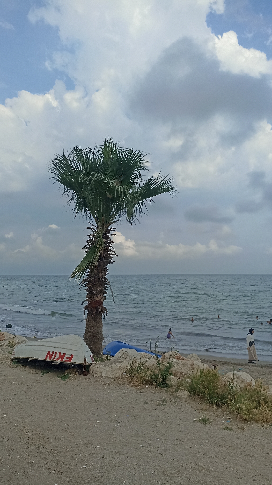 The image captures a coastal scene in Yenişehir, Turkey. A palm tree dominates the mid-ground, positioned slightly to the left of the center. To the left of the tree, a small white boat with the red inscription "EKIN" rests overturned on the sandy beach. A partially visible blue object lies near the boat.
In the background, the sea extends to the horizon under a cloudy sky. Several people are visible in the water, some swimming and others wading. A woman, dressed in a light-colored outfit and hijab, stands on the beach to the right.
The foreground is composed of sand and rocky patches interspersed with vegetation.