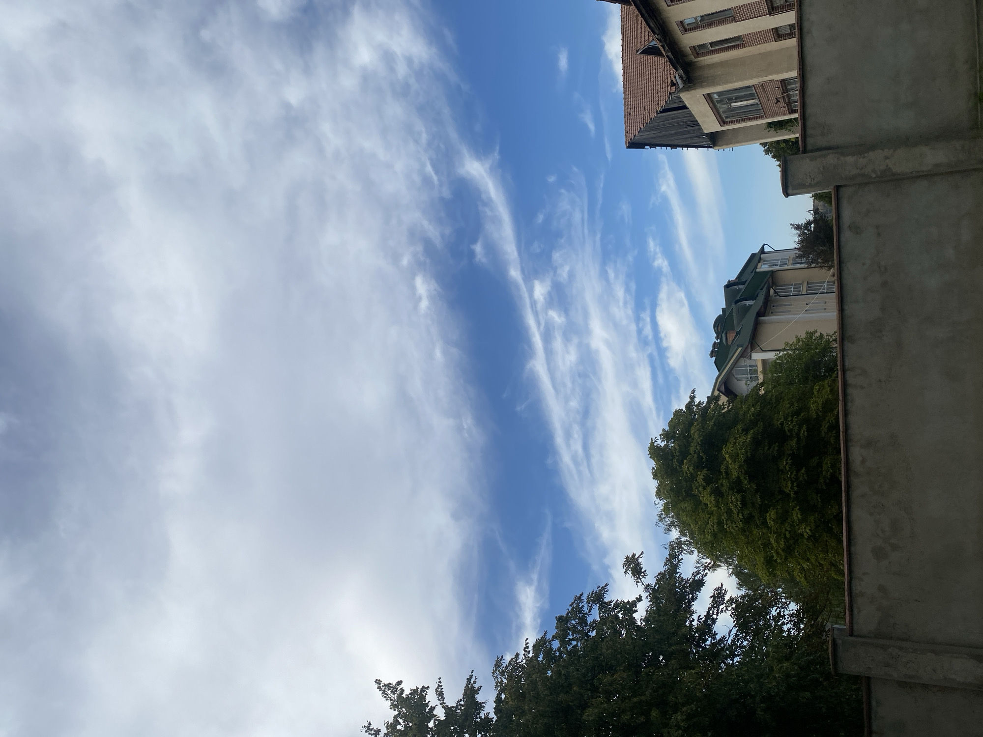 This is an outdoor, eye-level, medium shot of a wall in Molovata Nouă, Moldova. The wall is in the foreground, a concrete structure with a reddish-brown tiled cap. Behind the wall, there are trees on the left and in the middle of the frame, and two buildings on the right. The sky is blue with scattered white clouds. The building on the far right has a dark wooden facade at the top and a cream-colored facade with brick accents below. The building to its left is lighter in color with a green roof. The trees are lush and green. The lighting suggests it is daytime, likely late morning or early afternoon. There are no people visible in the image.